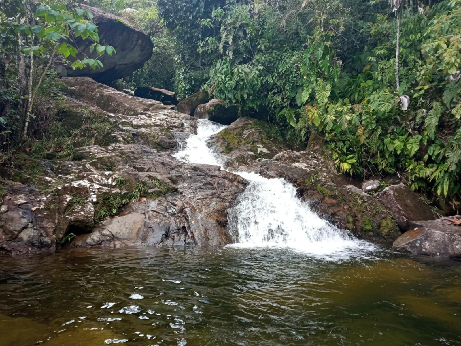 FINCA EL ALTO