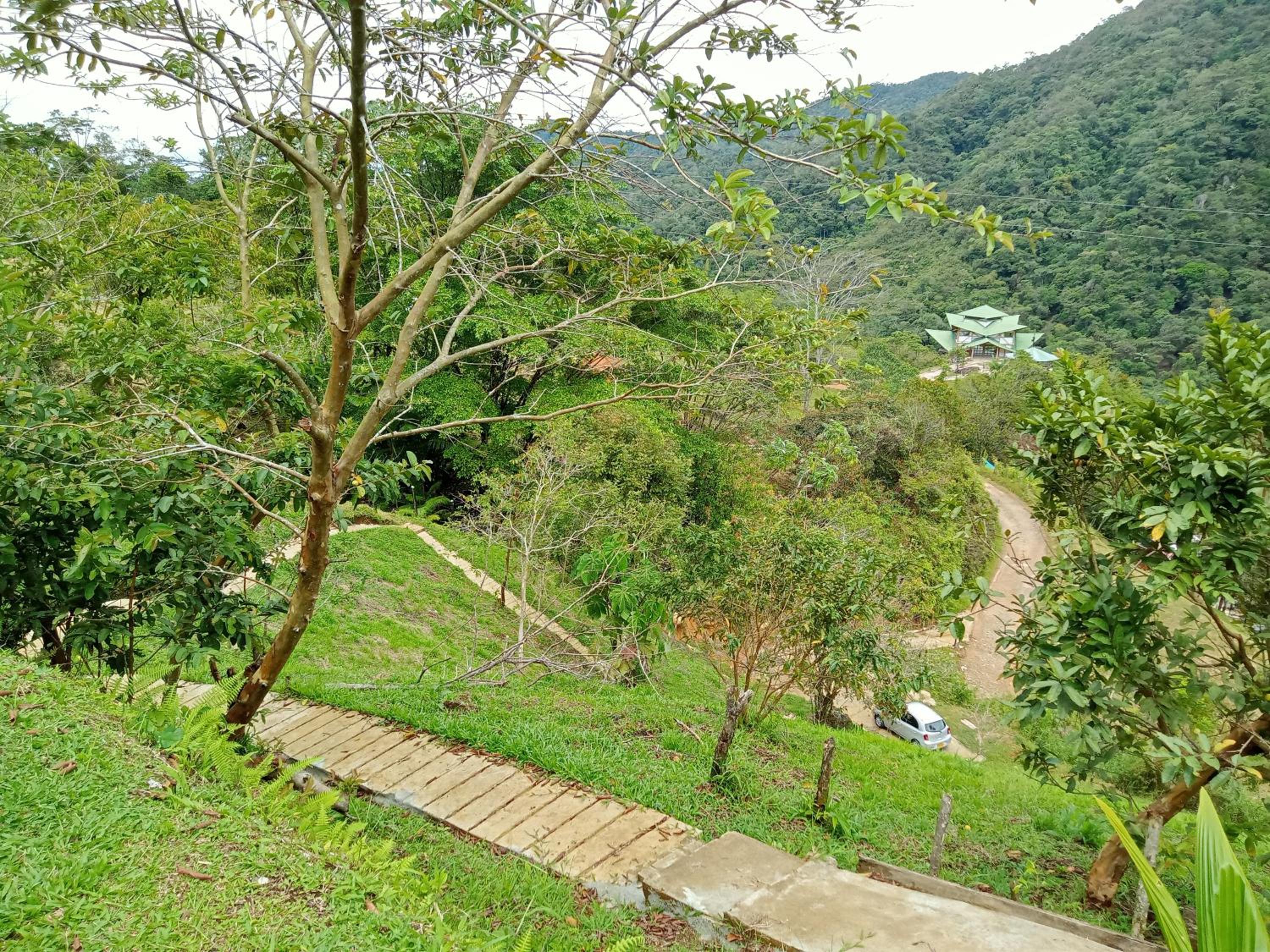 FINCA EL ALTO