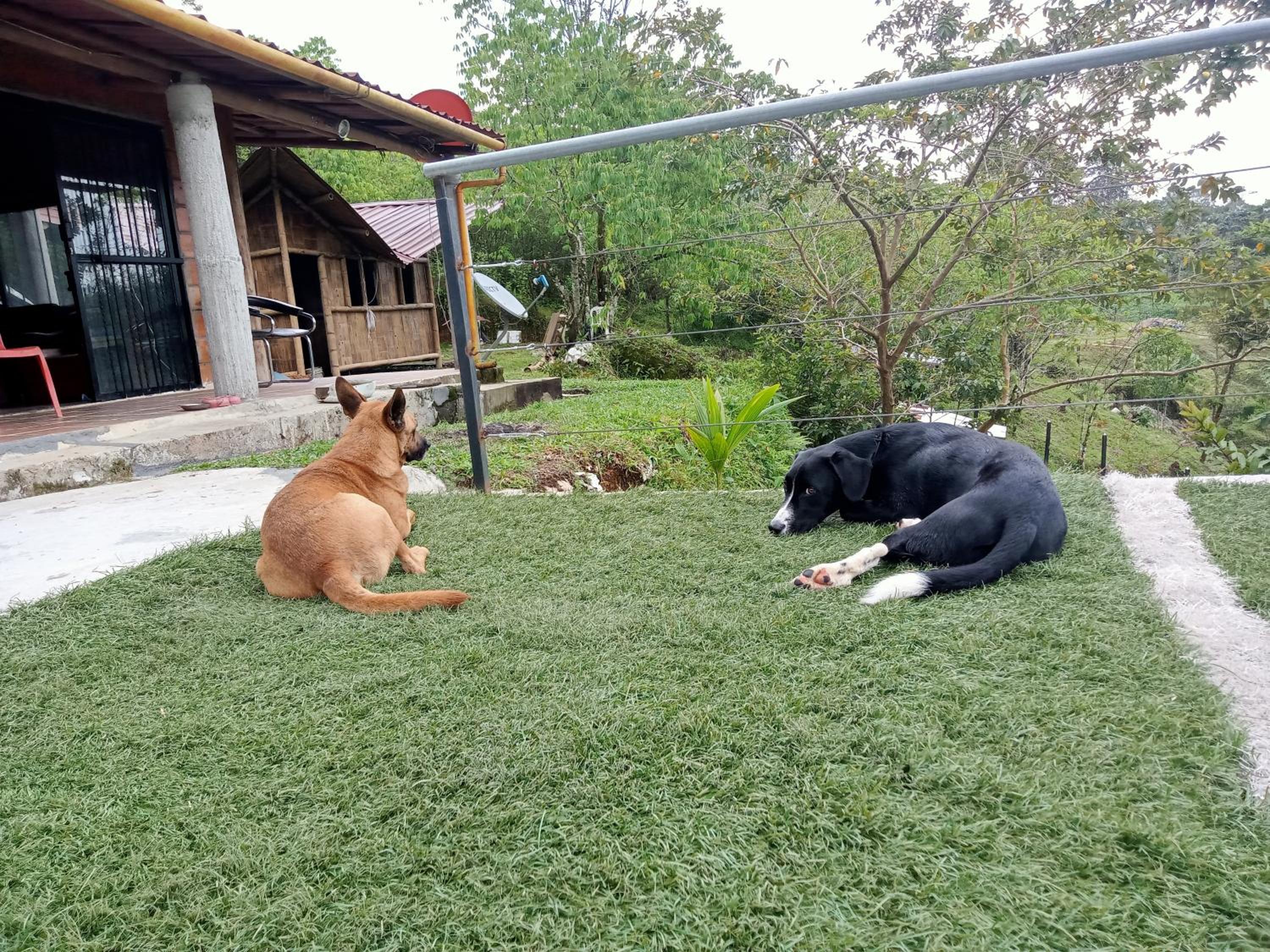 FINCA EL ALTO