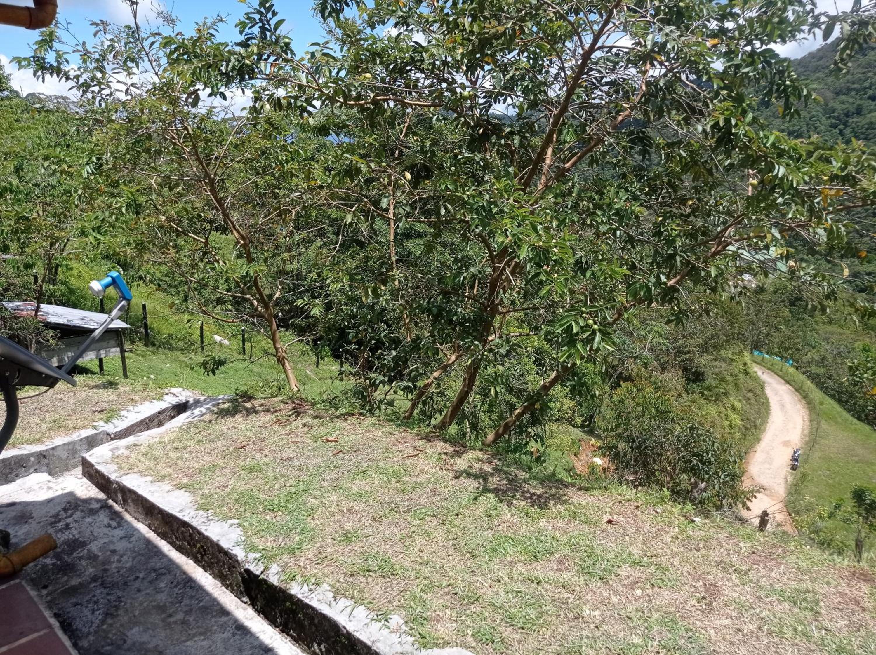 FINCA EL ALTO