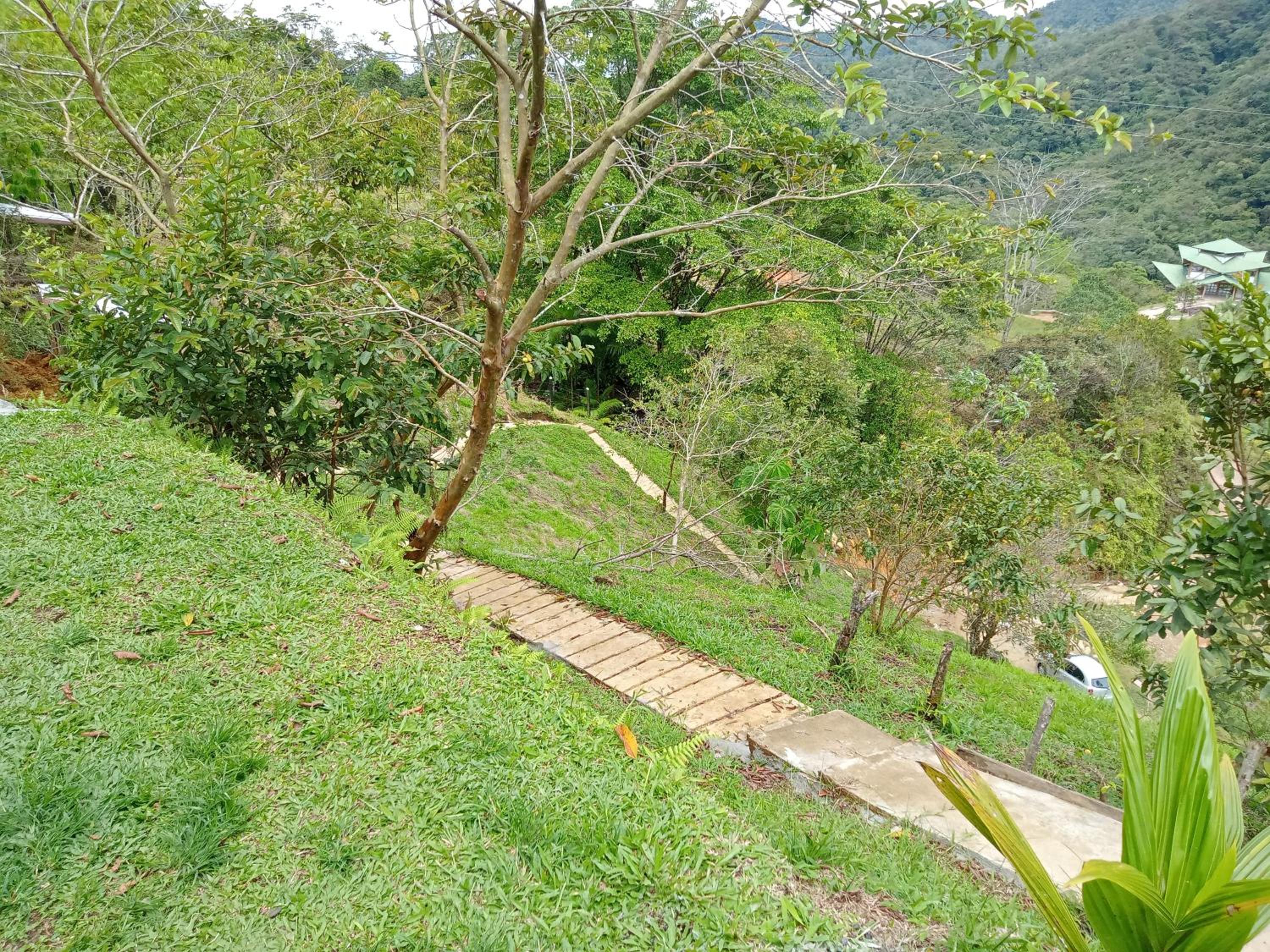 FINCA EL ALTO