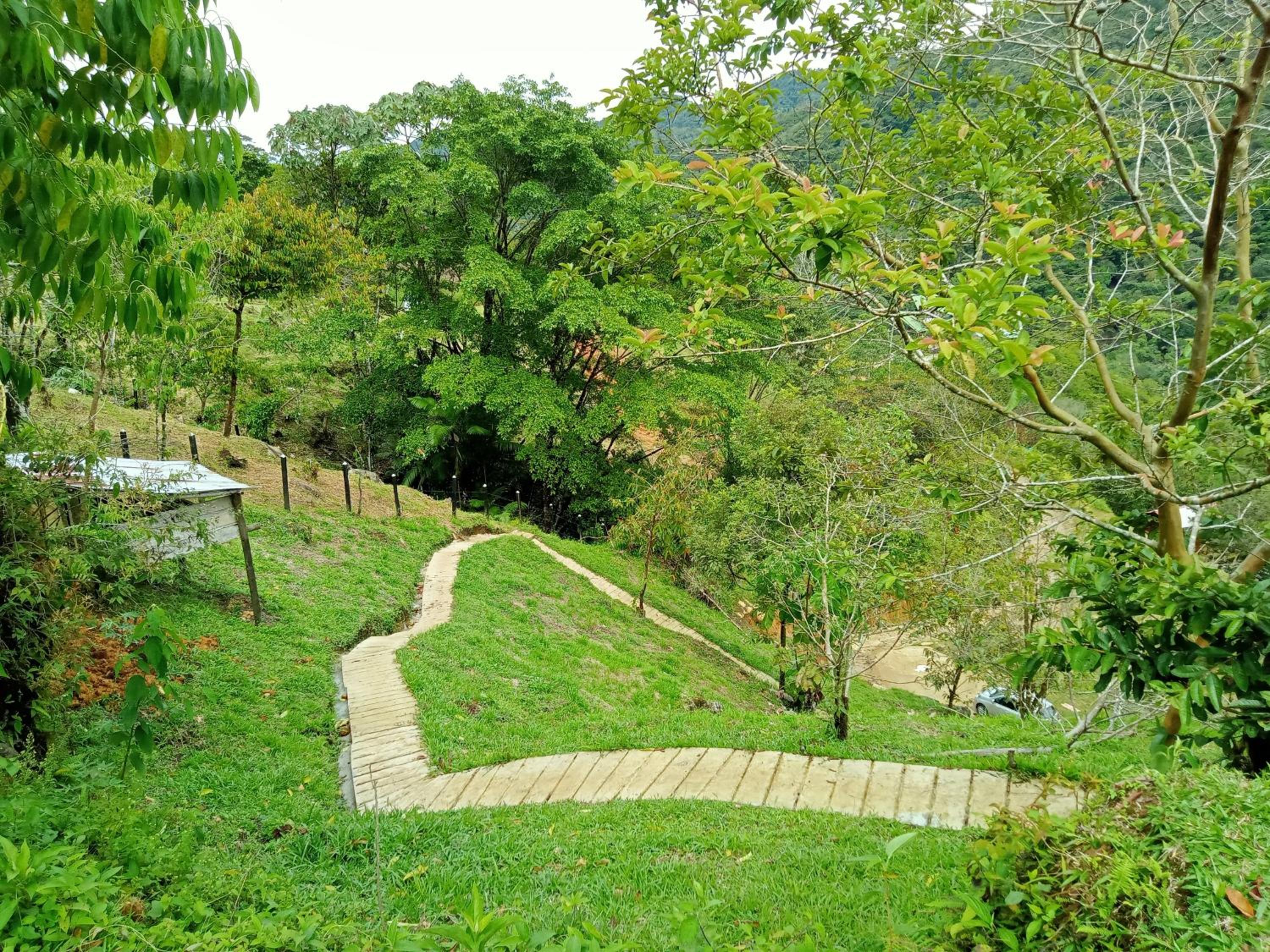 FINCA EL ALTO