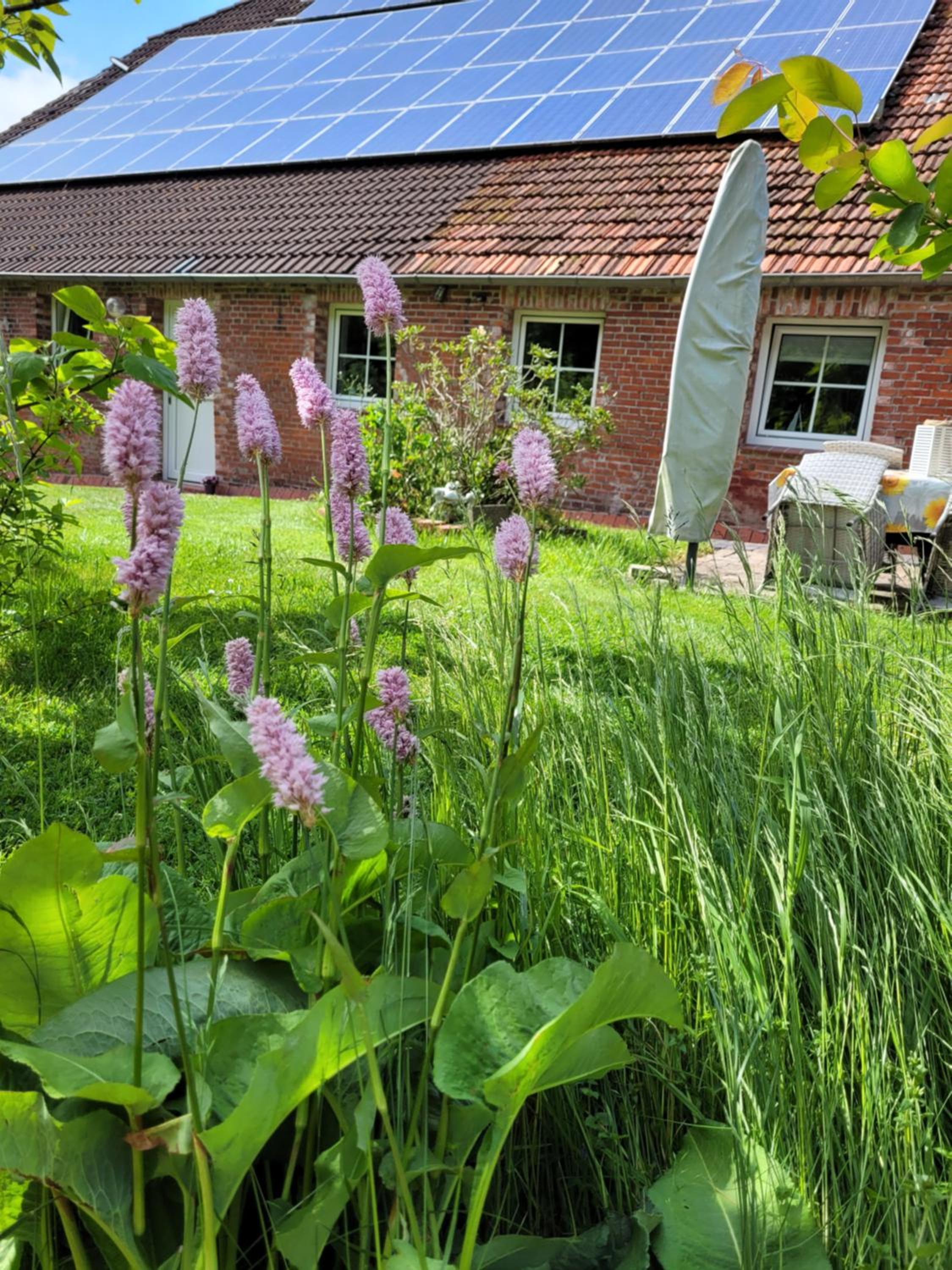 Gulfhof Anelis