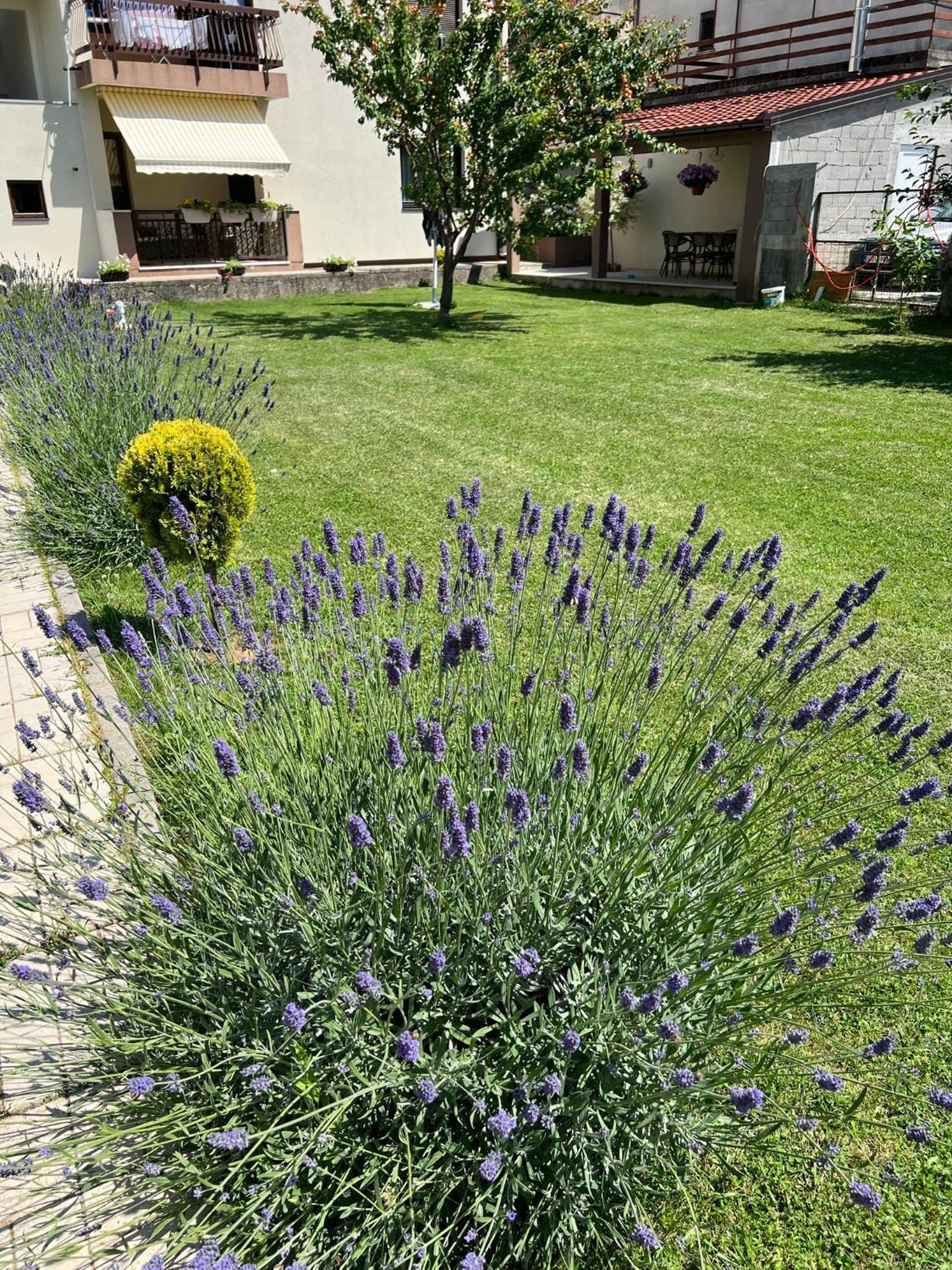 Apartmani Dante Trebinje