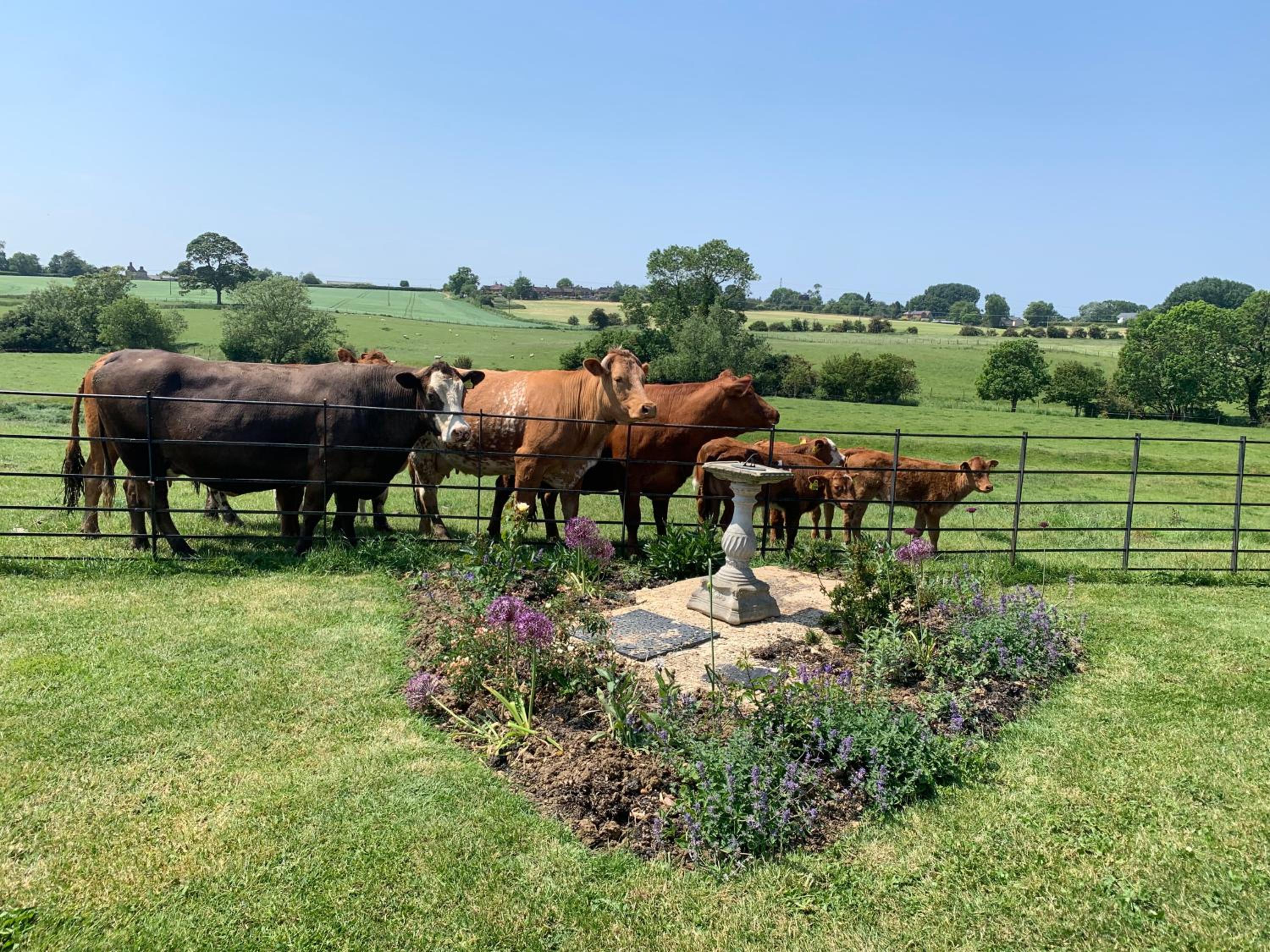 Weatherhead Farm view 5