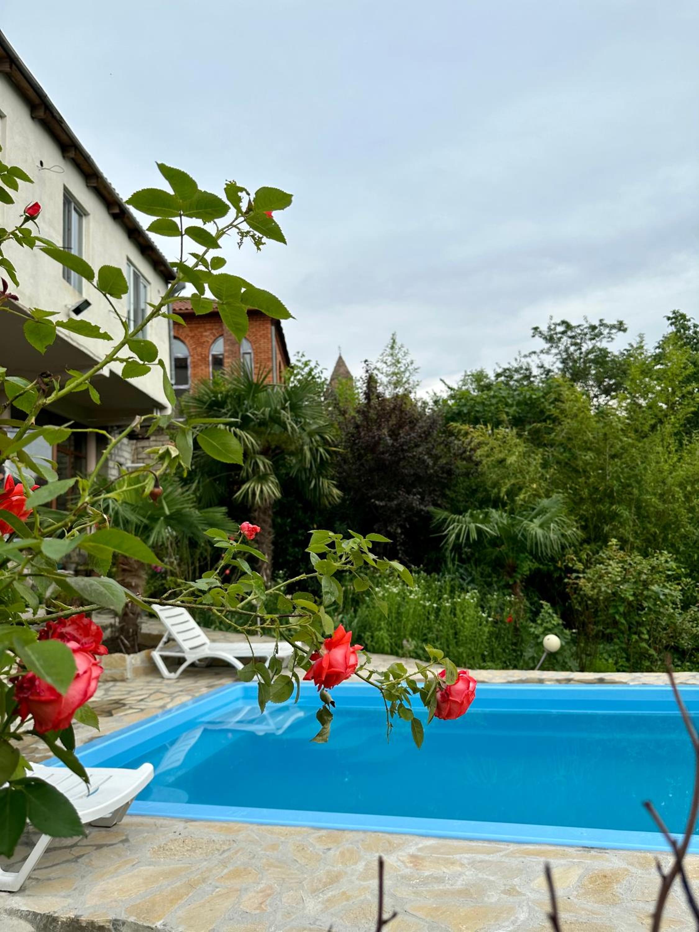 Photo 23