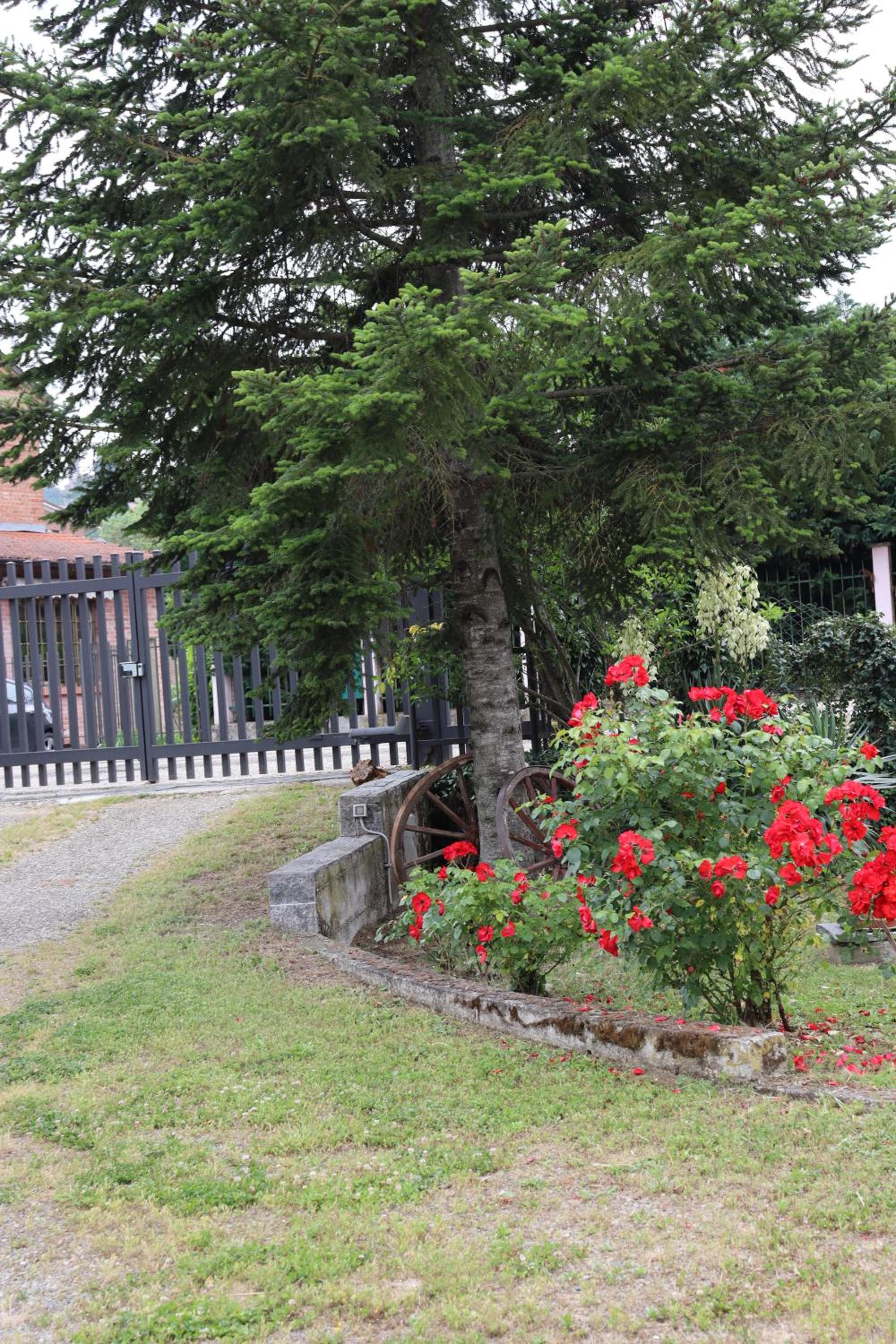 Photo 41