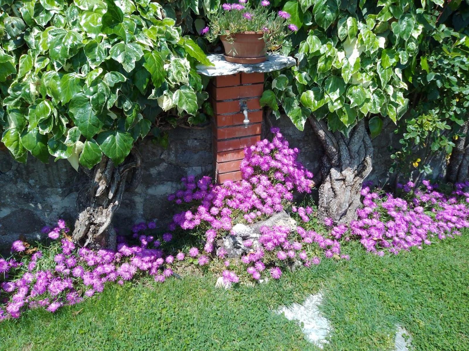 Le sette fontane en Barga — other