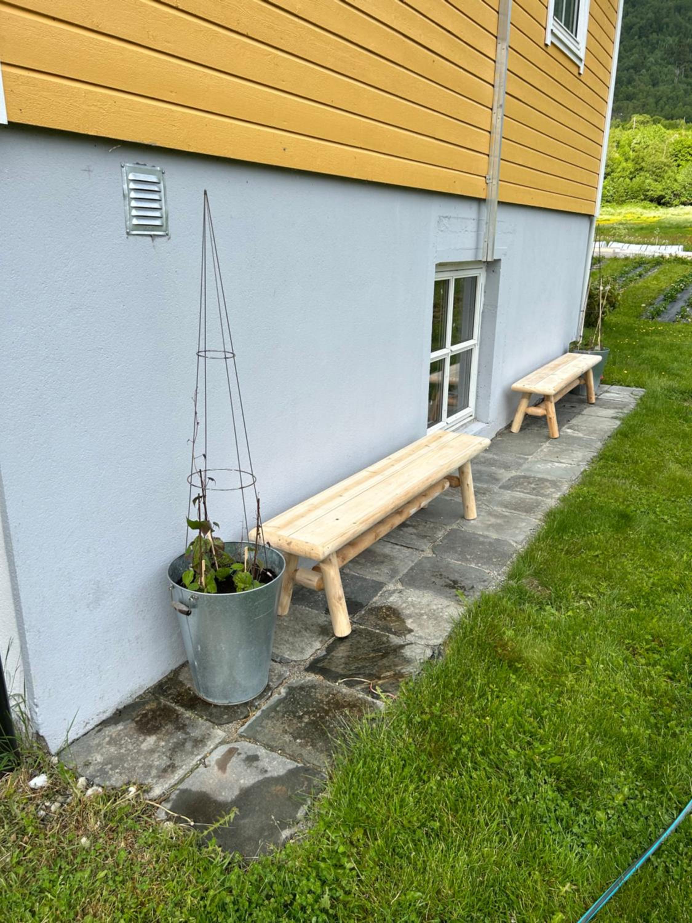 Naustvoll view 4