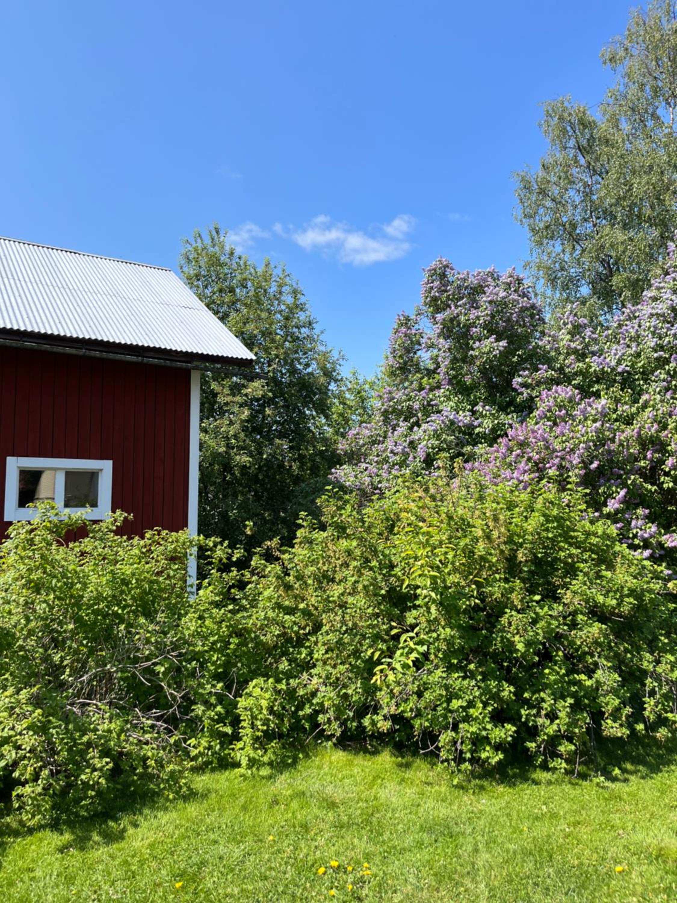 Stuga i centrala Älvdalen