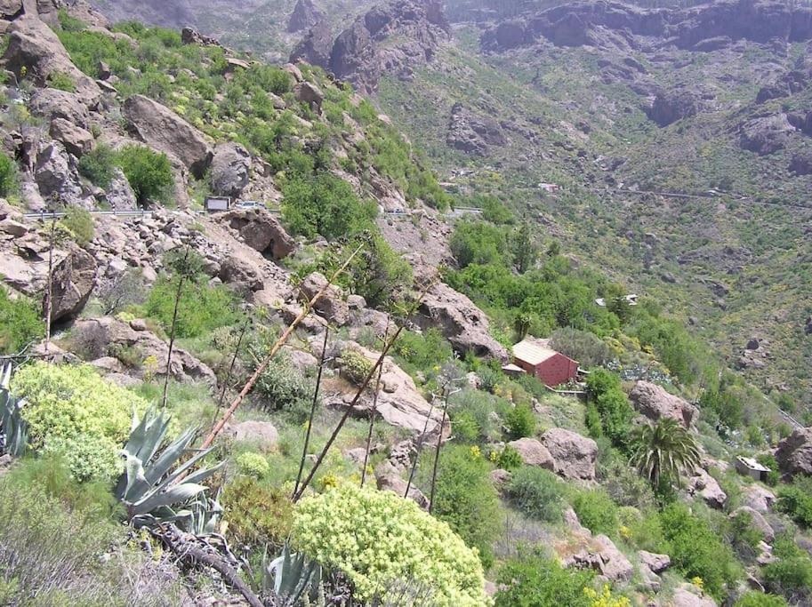 Casa Cueva El Pedregal Tejeda