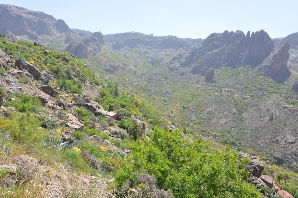 Casa Cueva El Pedregal Tejeda