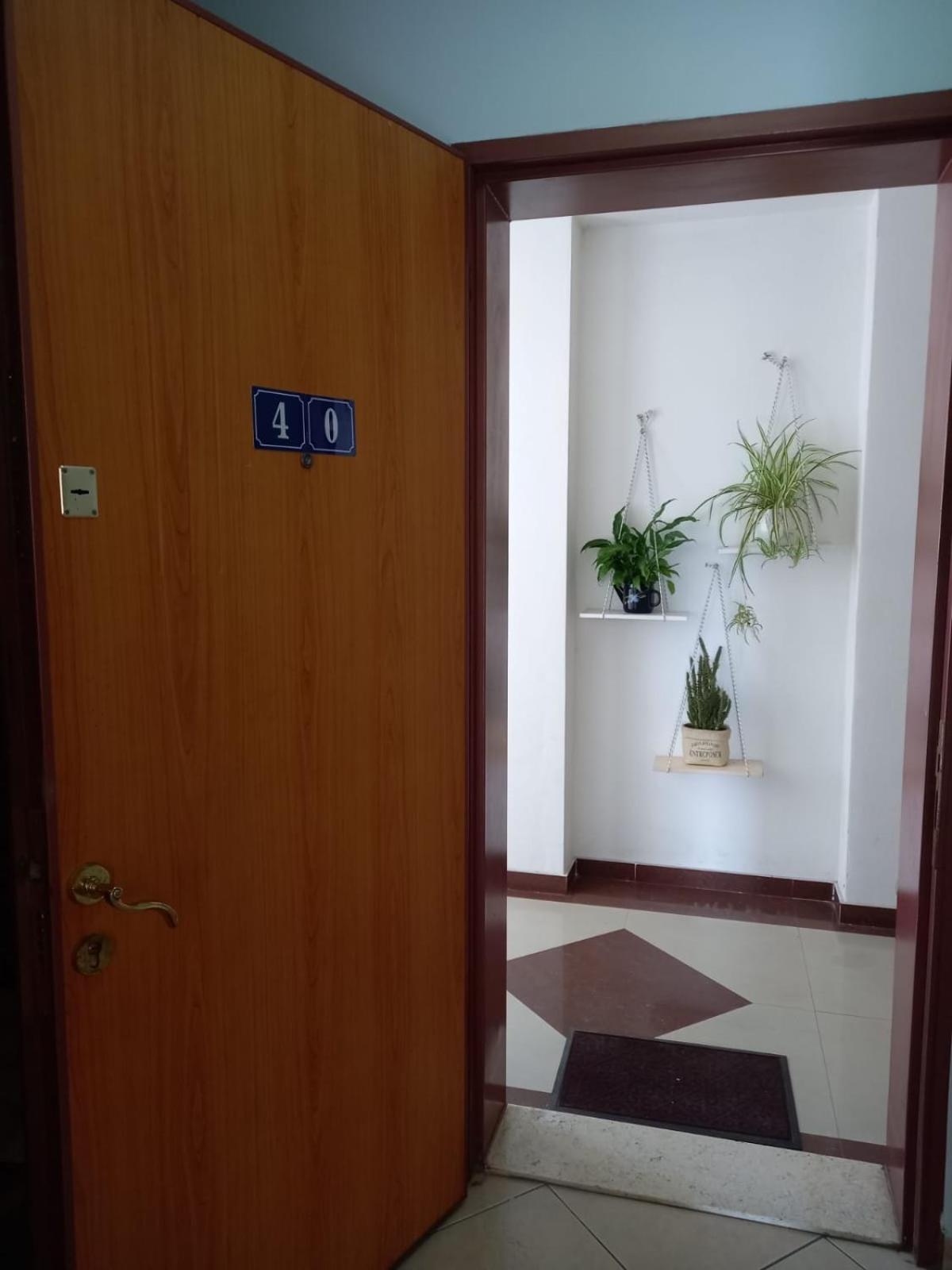 Panoramic apartment