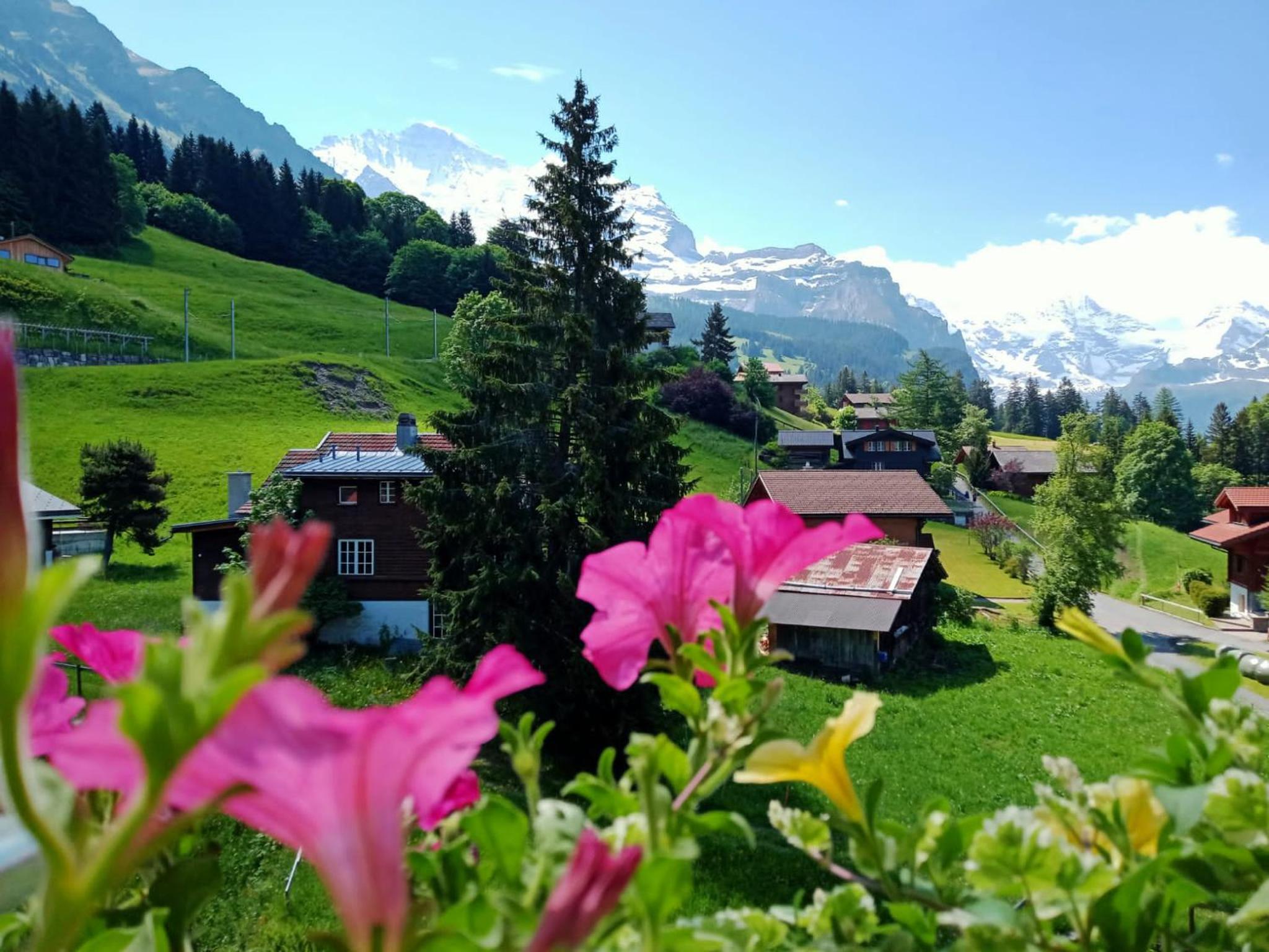 Apartment with great view at Residence Brunner