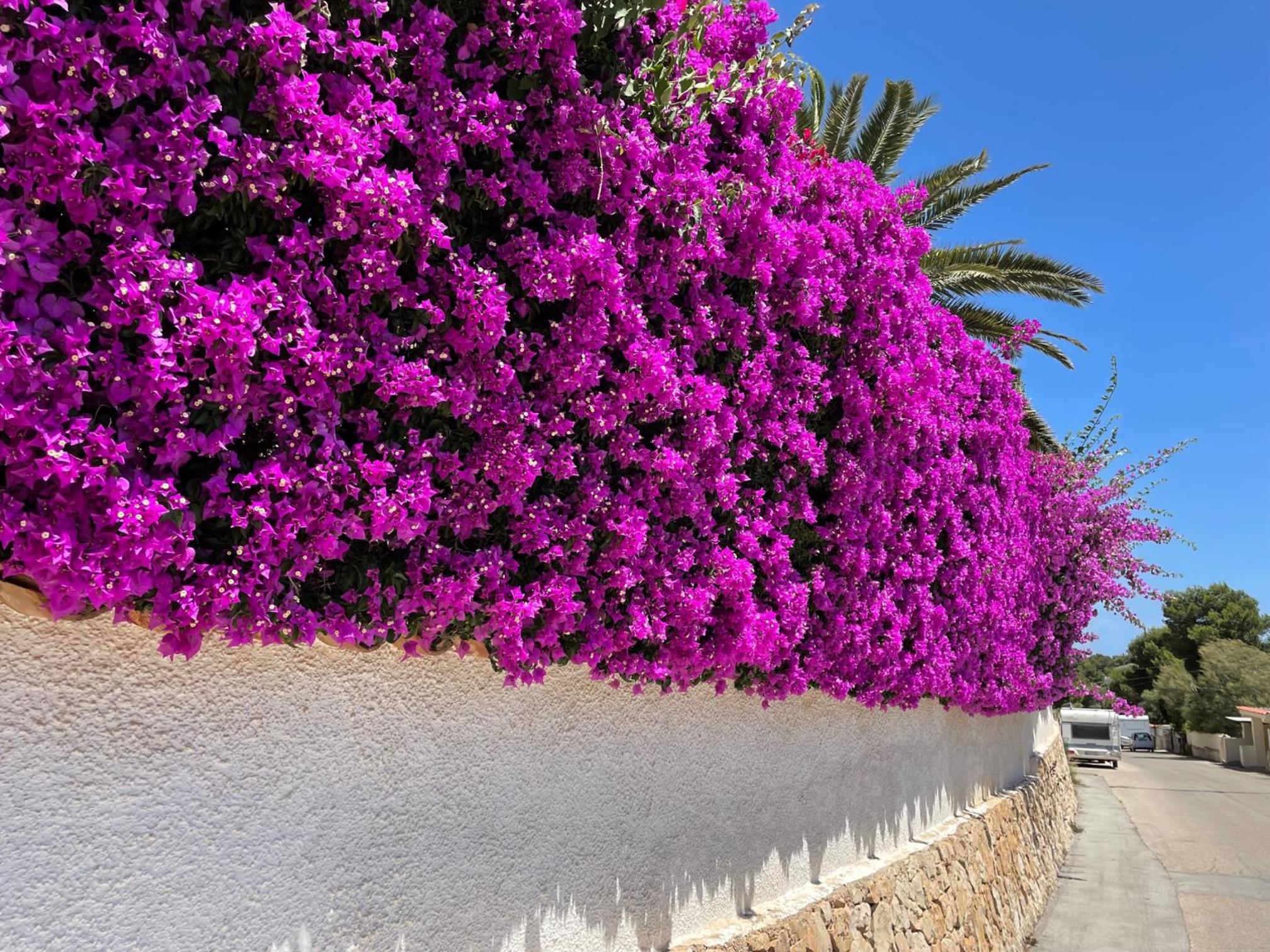 Casa Soluna