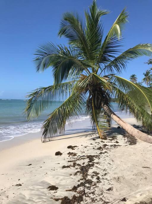 Casa Moniá, Caribbean house 5 min from the beach