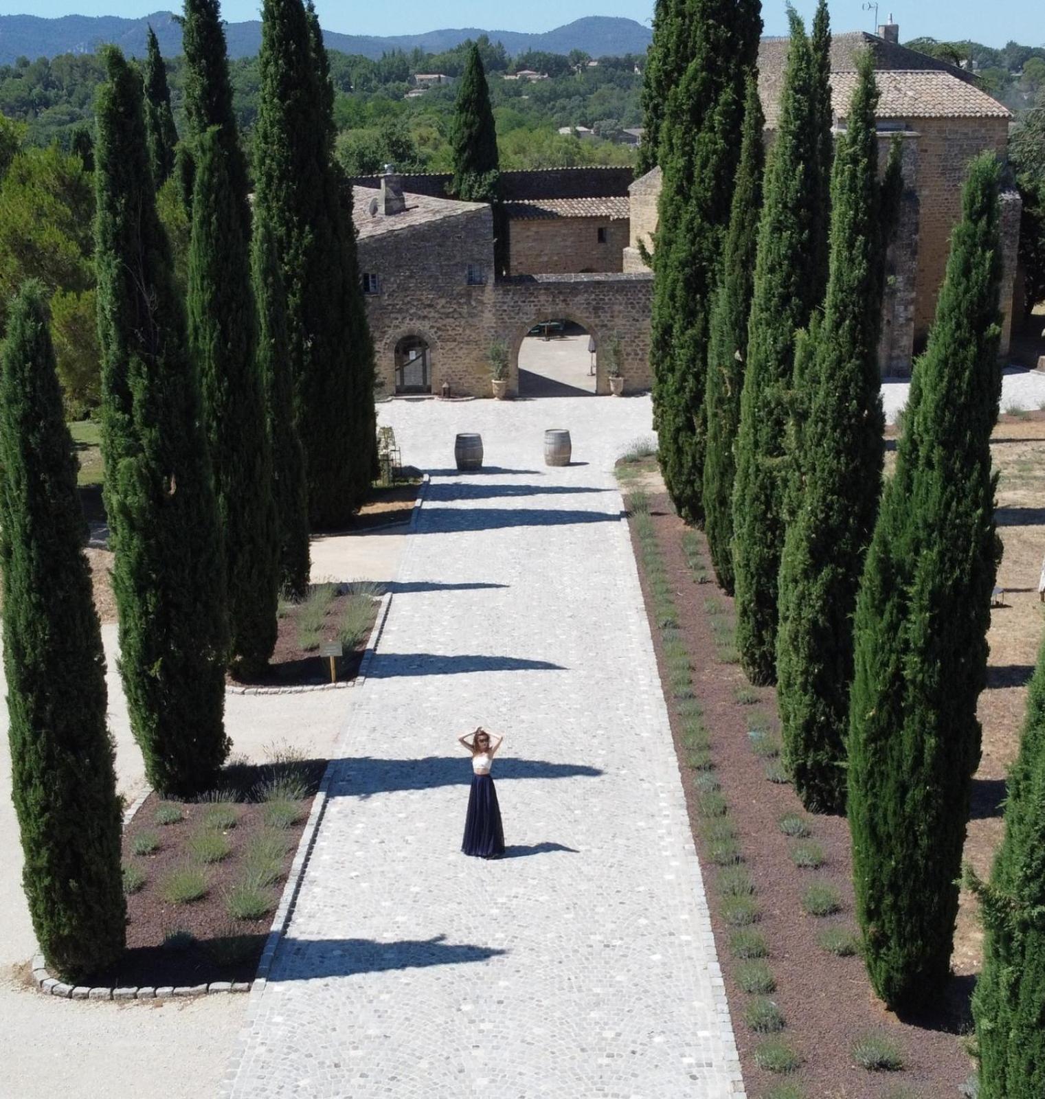 Château Saint-Pierre de Mejans view 5