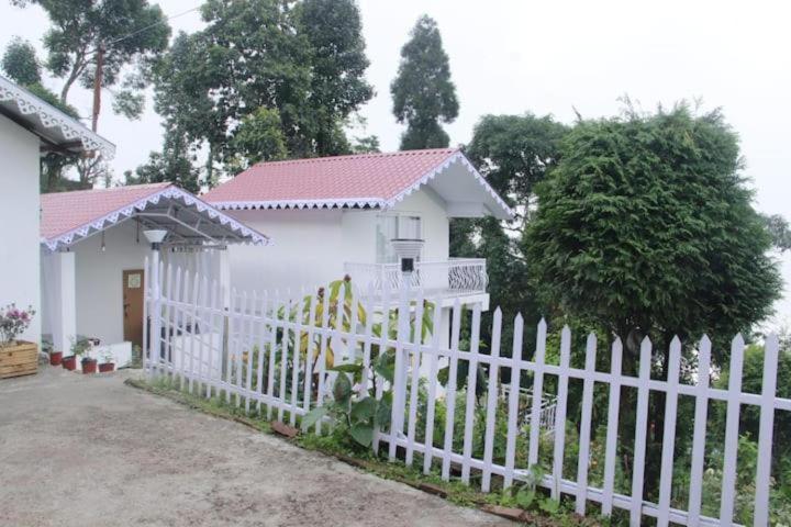 Photo 41