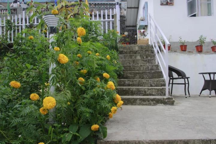 Photo 36