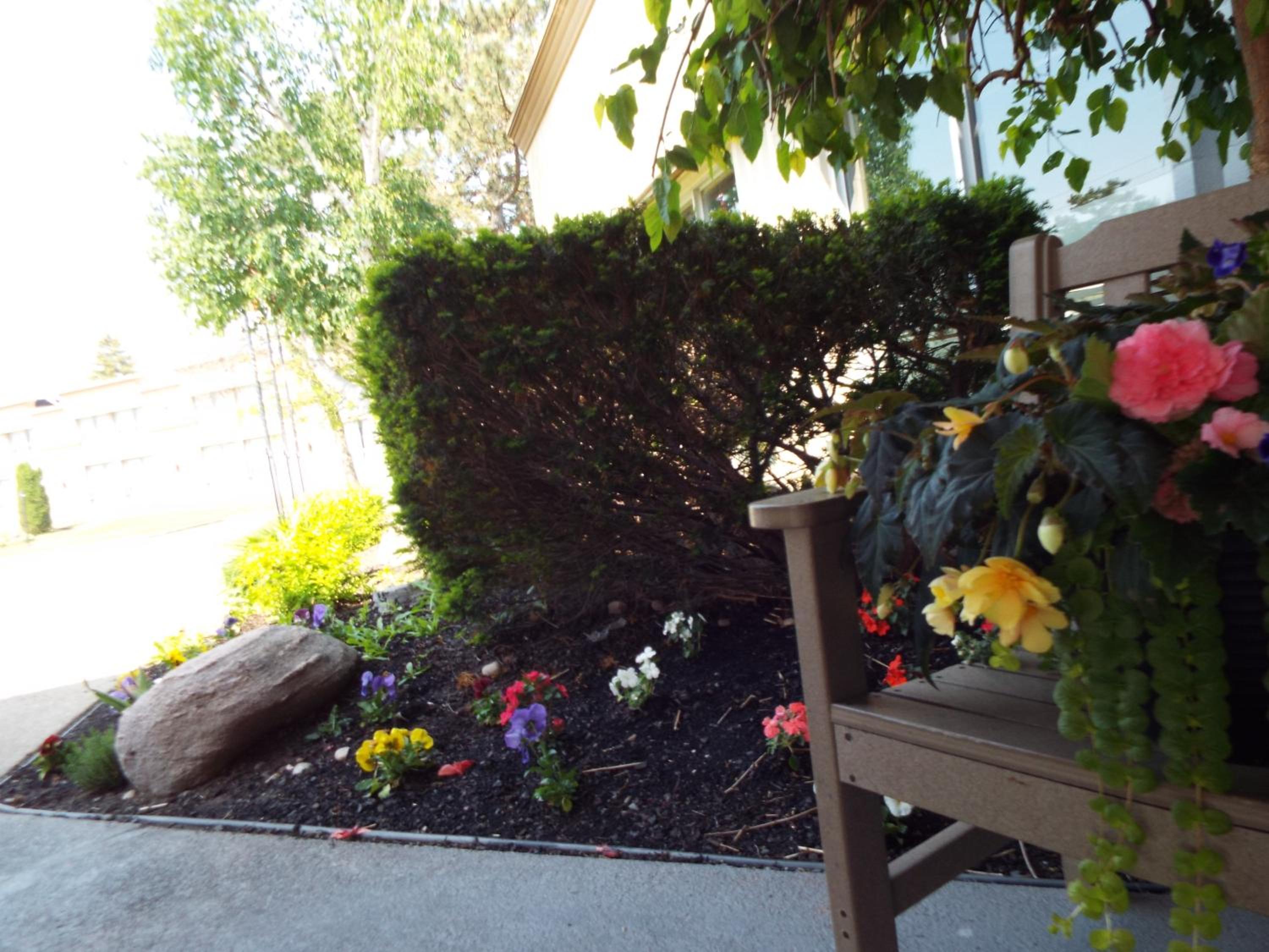 Spark By Hilton Owen Sound, Billede 25