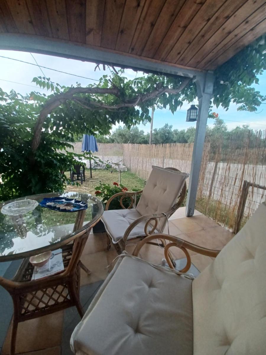 Olive Holiday Home photo 1