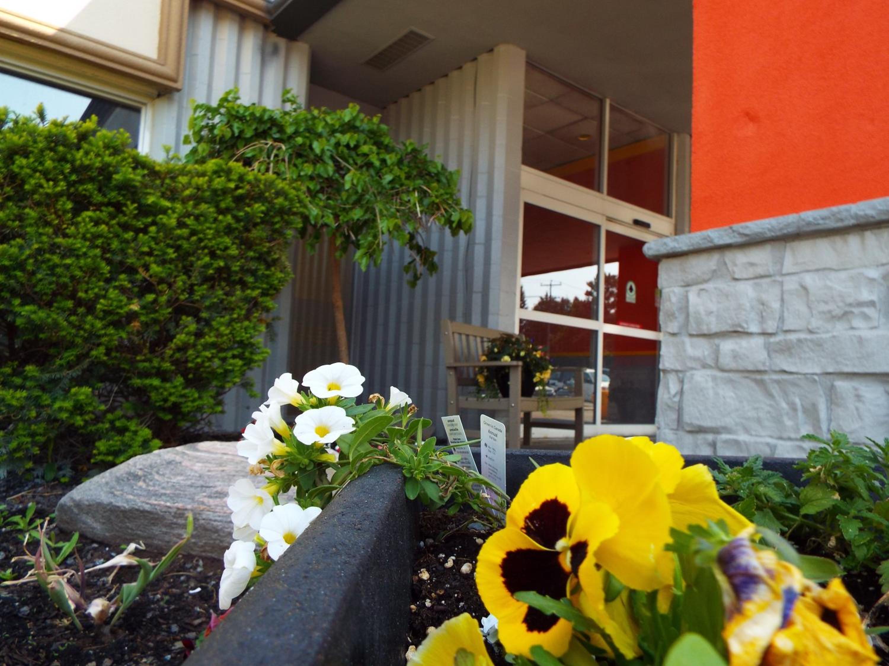 Spark By Hilton Owen Sound, Billede 24