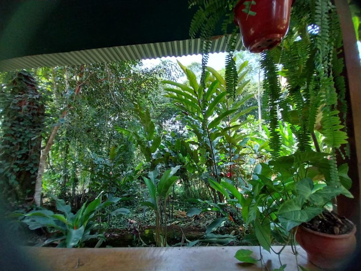 JARDIN DE LAS MUSAS view 2