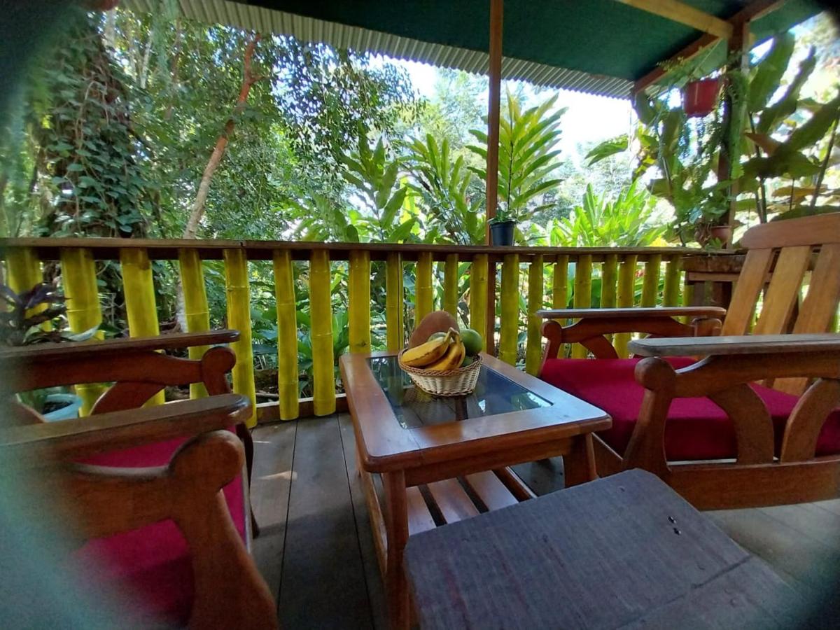 JARDIN DE LAS MUSAS view 3