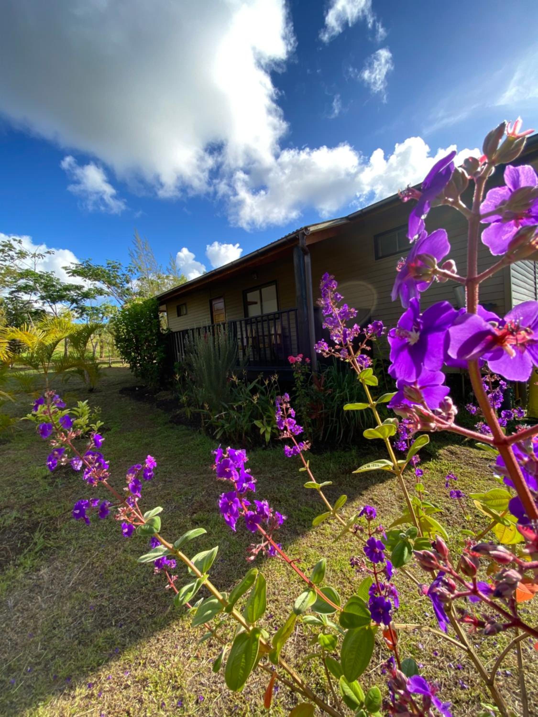 Maunga Roa Eco Lodge