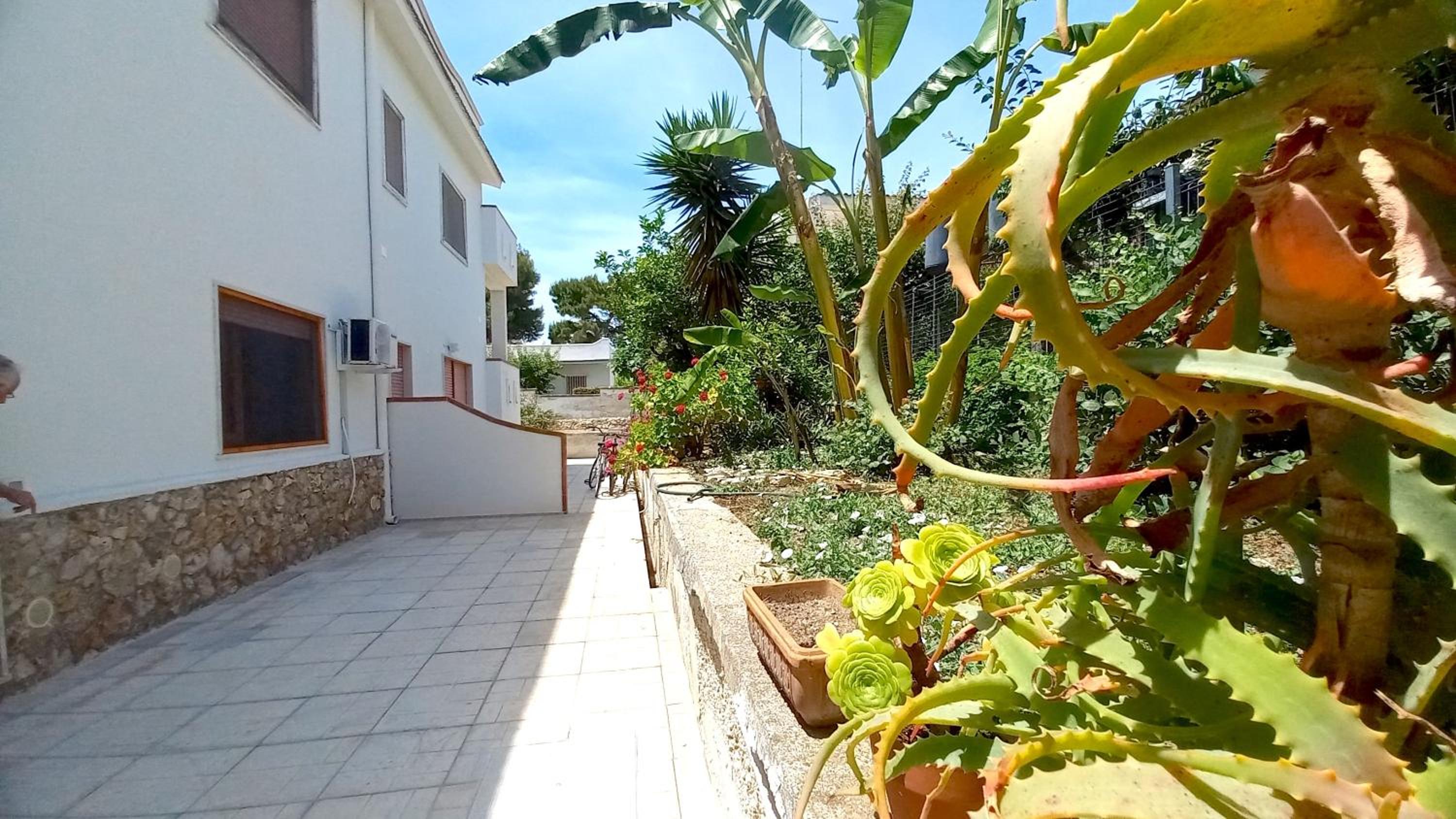 Villa Montedarena