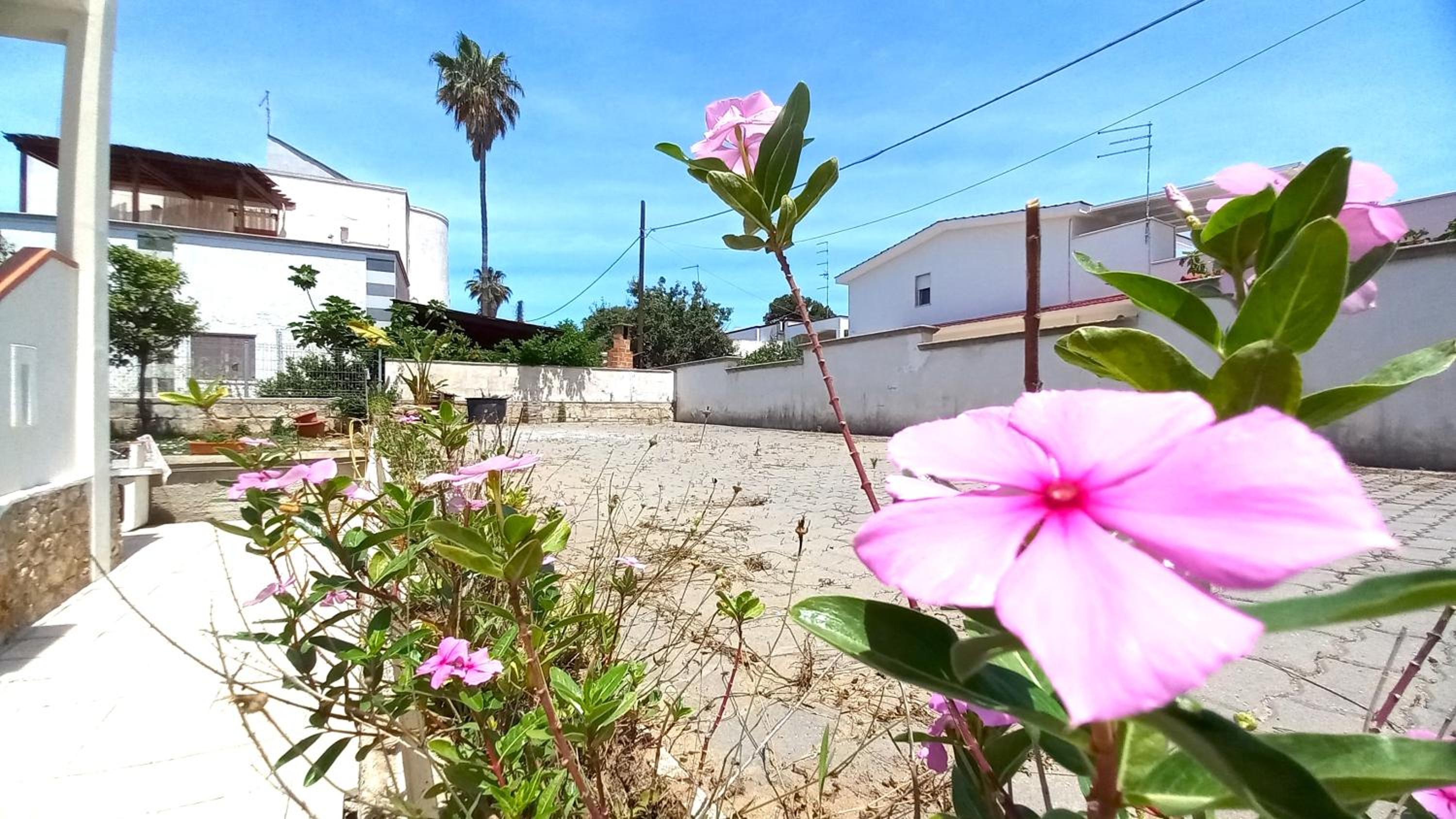 Villa Montedarena