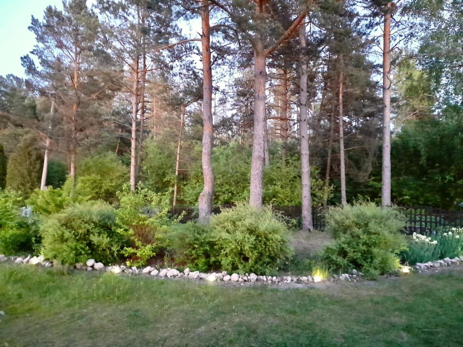 Photo 29