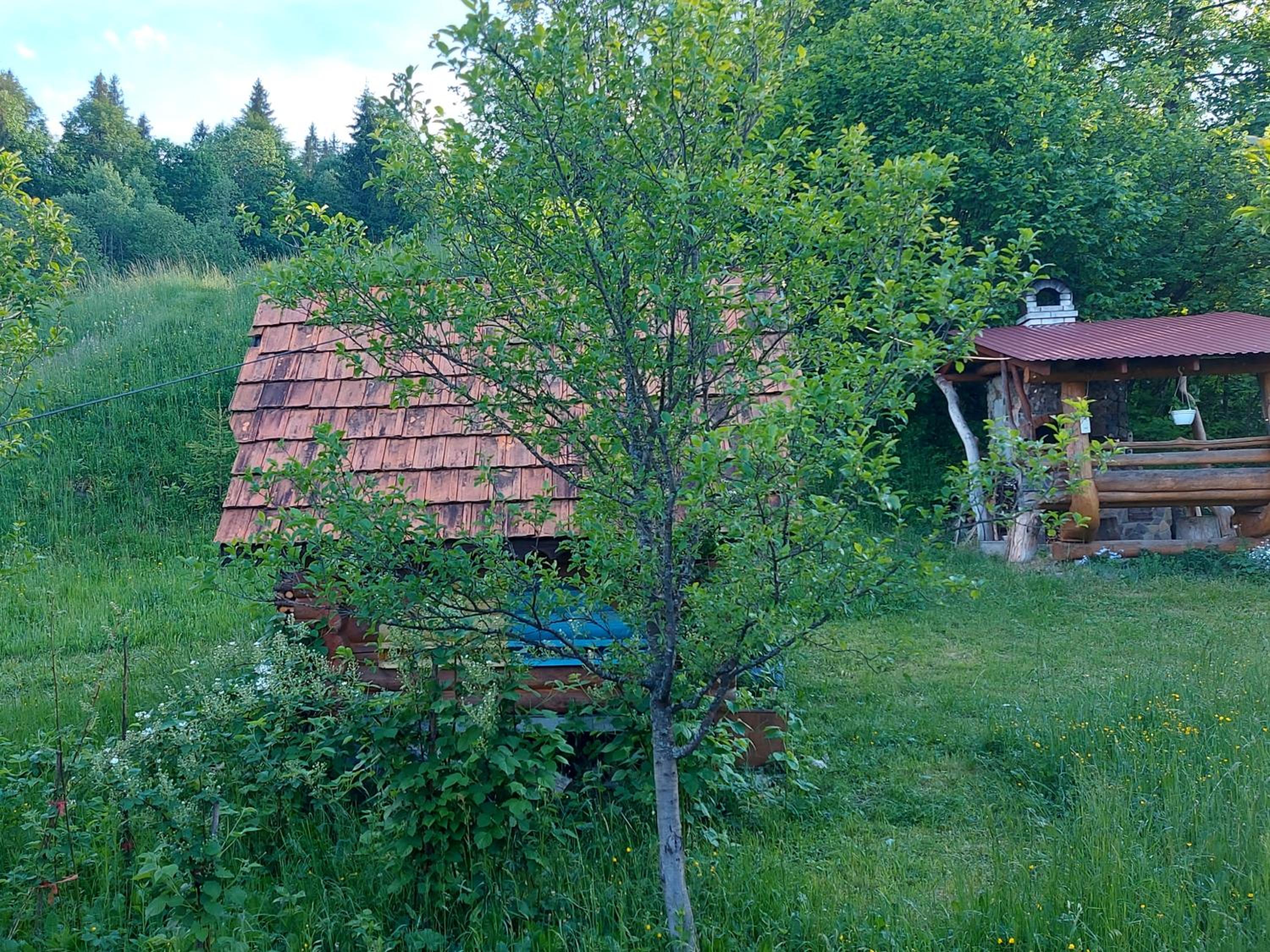 Photo 36