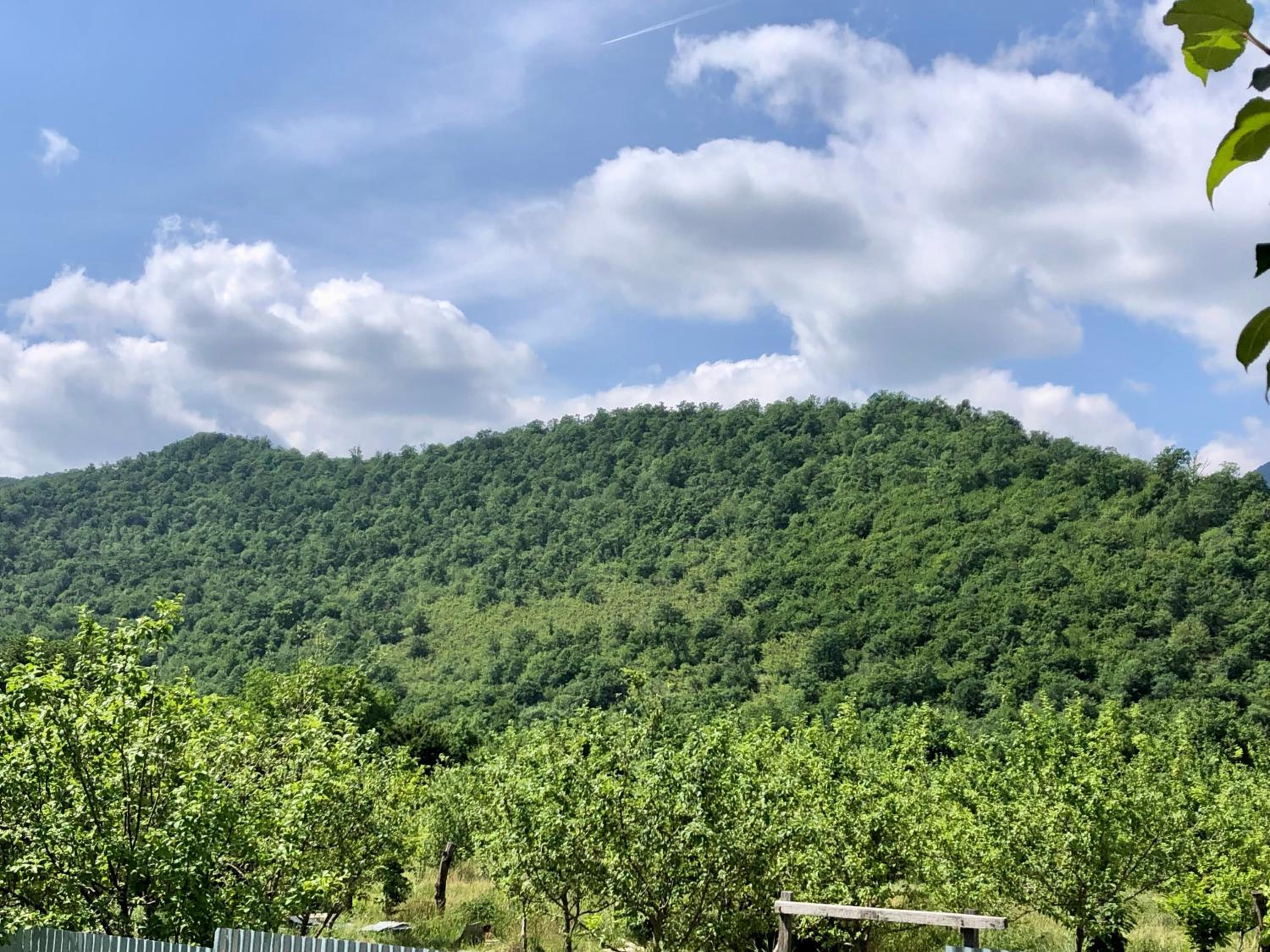 House in the village - APPLE PARADISE