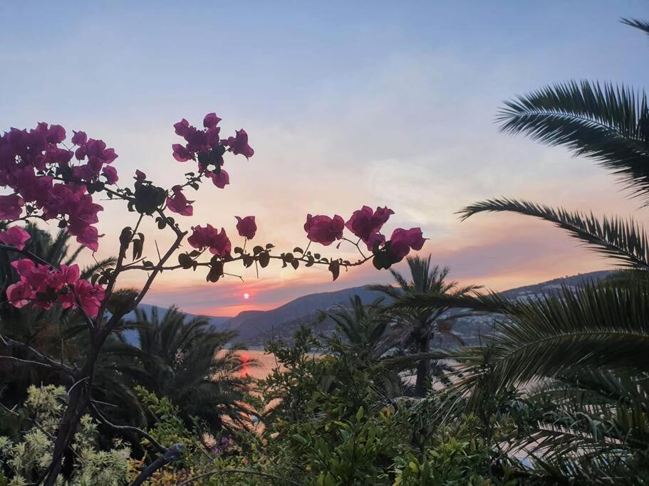 Cactus Garden Kalkan - Private Mediterranean Home at Club Patara