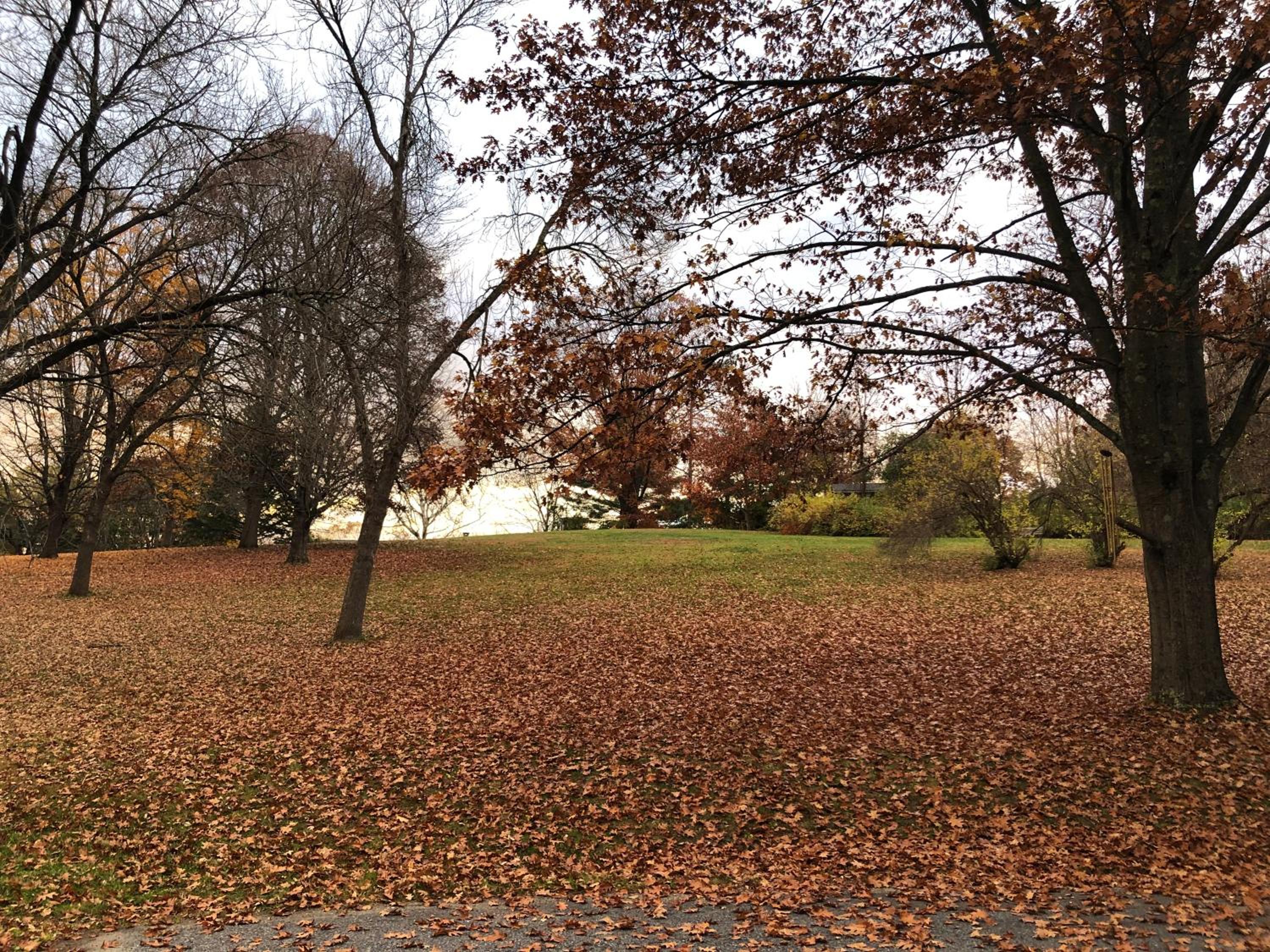 Rutland Vacations - Antique Mansion B  B - Property Image 15