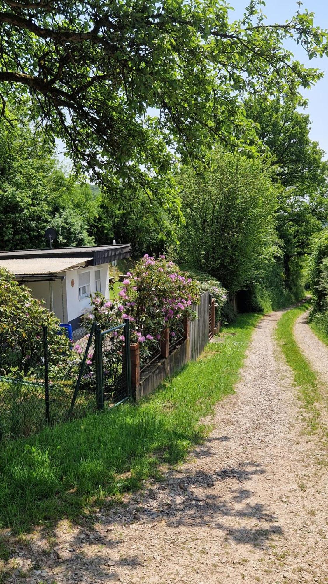 Ferienhaus Wald&Wiese