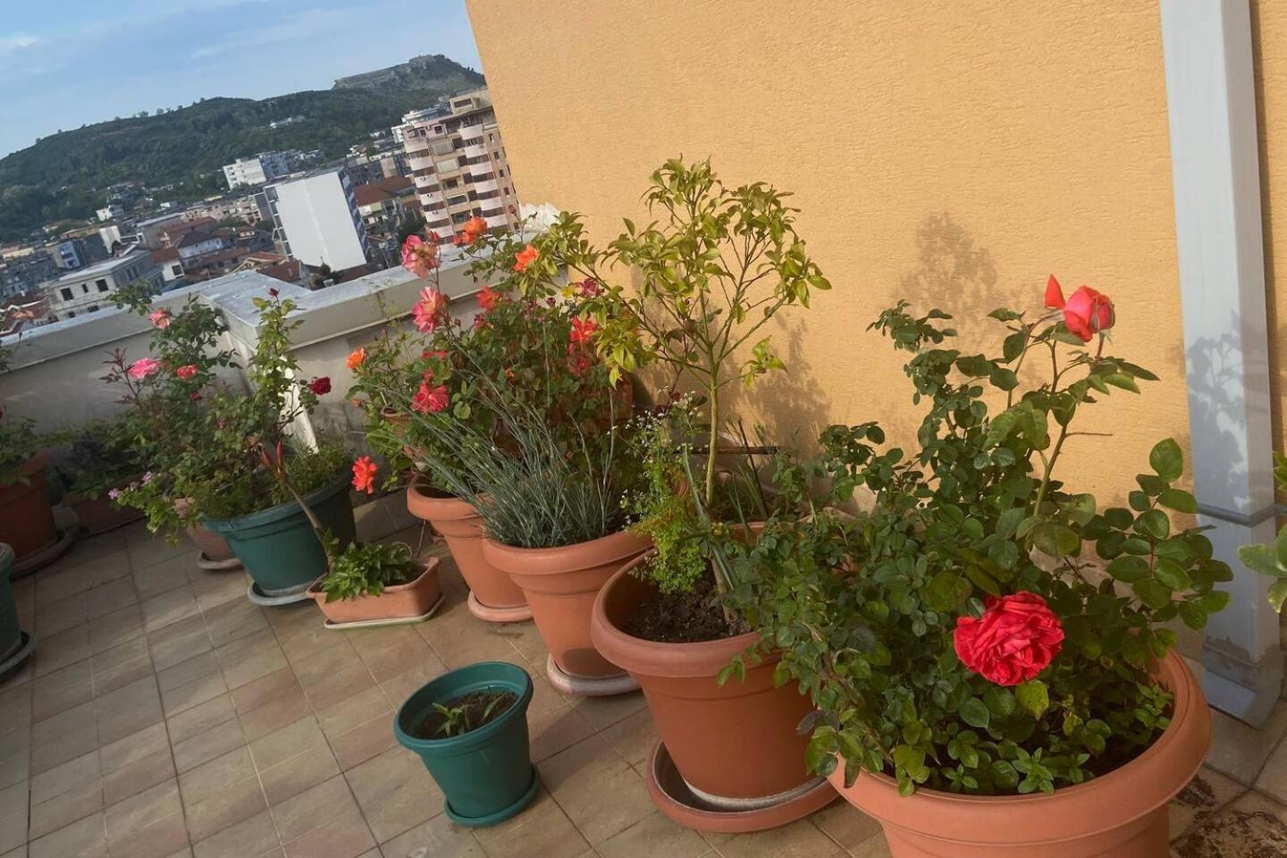 Belvedere Centro Shkoder