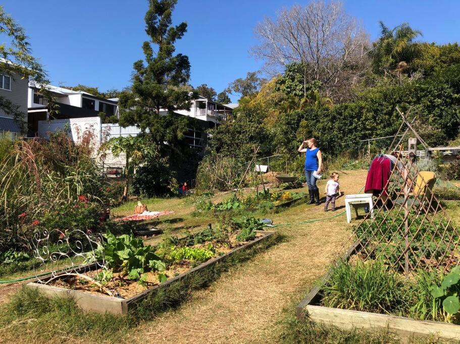 Pet Friendly Family Home 3km to CBD