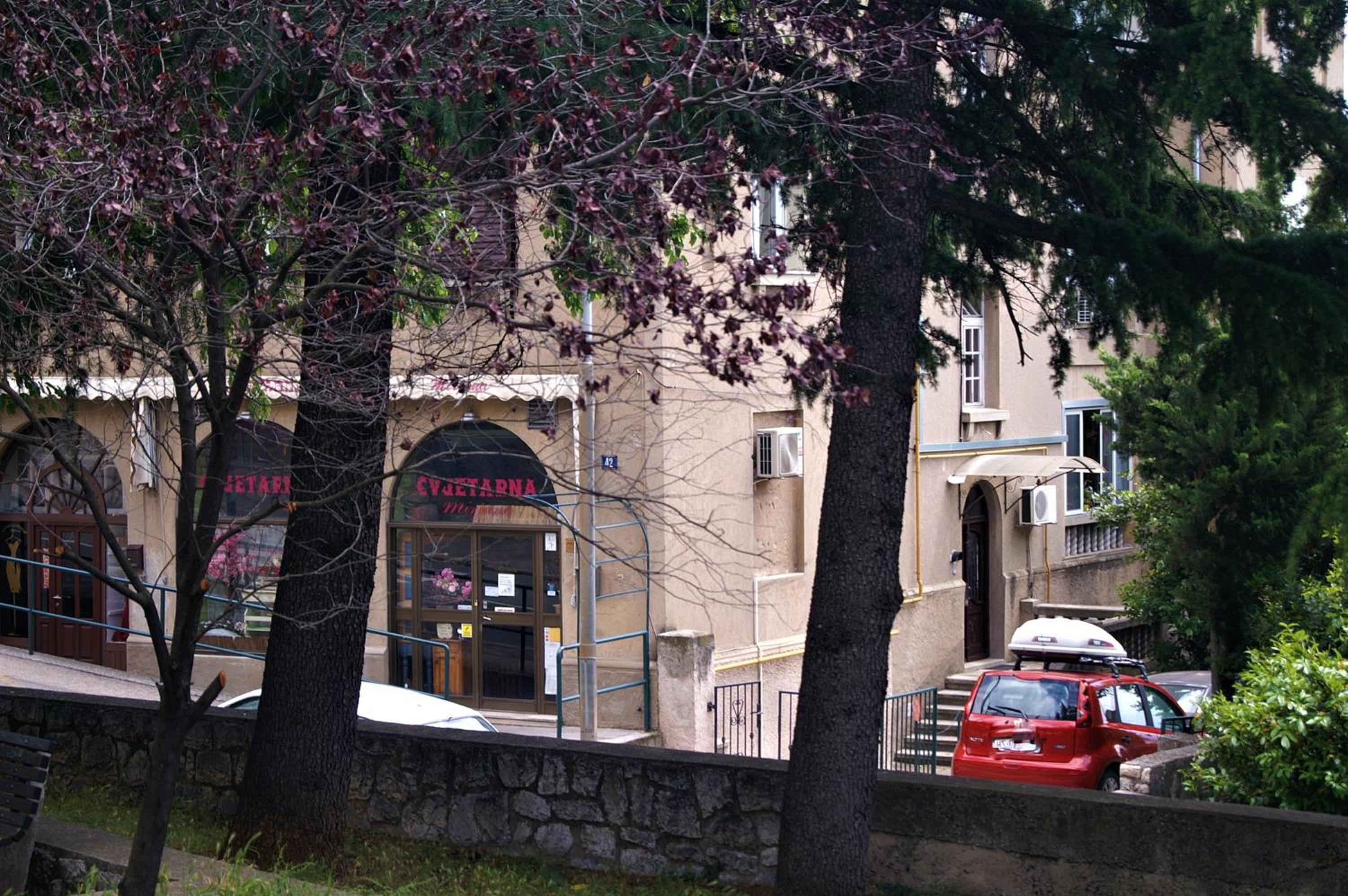 Photo 45