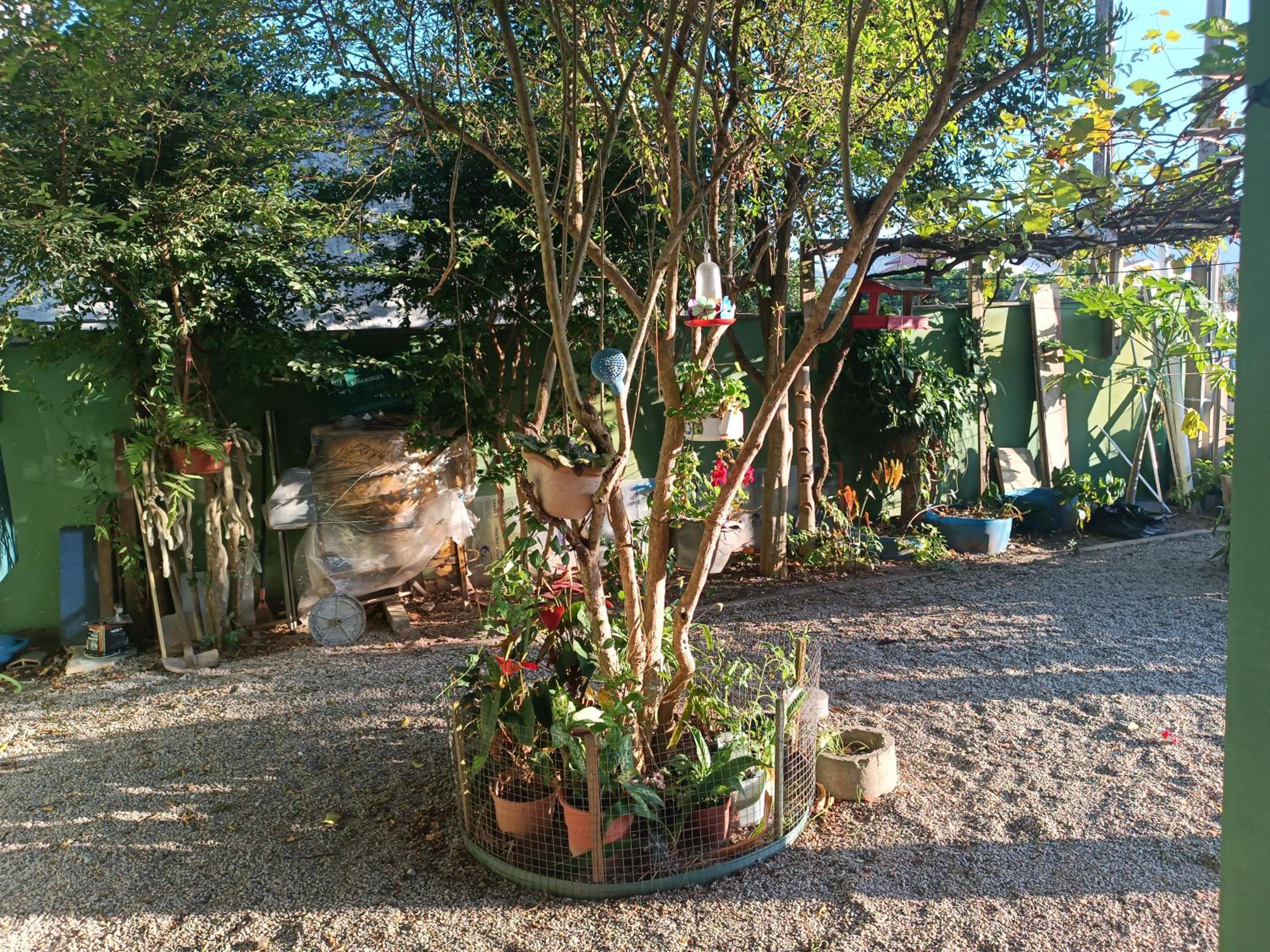 Apartamento no Campeche
