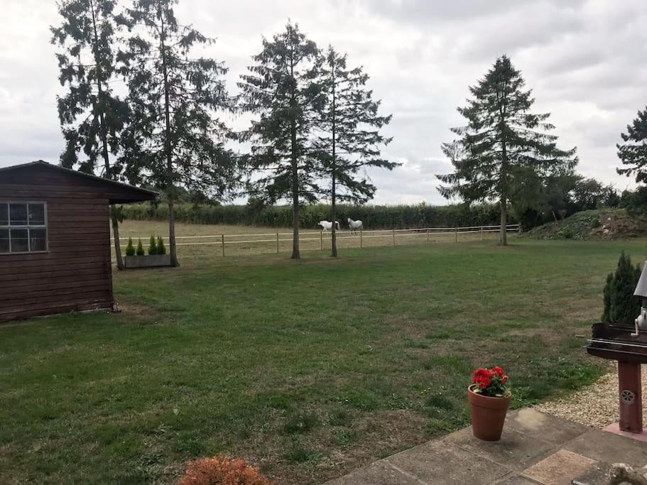 Kenns Farm - 2 Beautiful Barns view 2