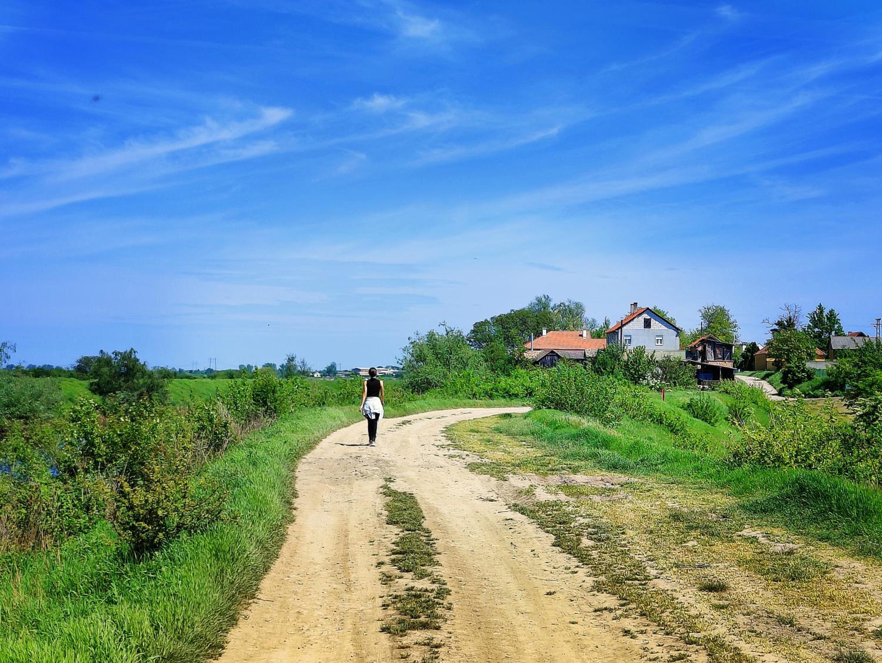 Photo 50