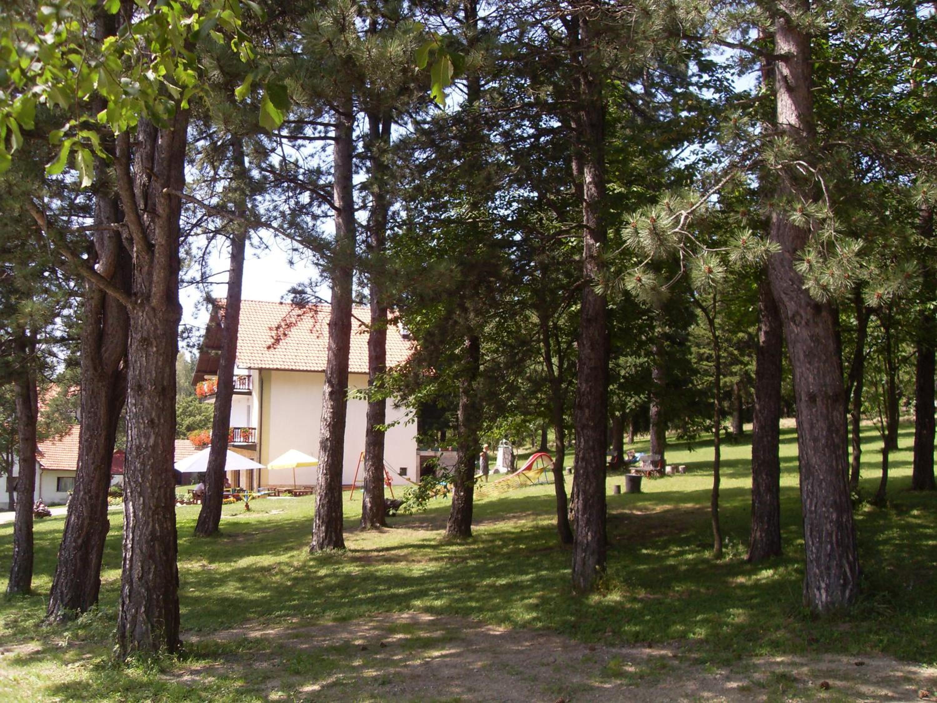Photo 52