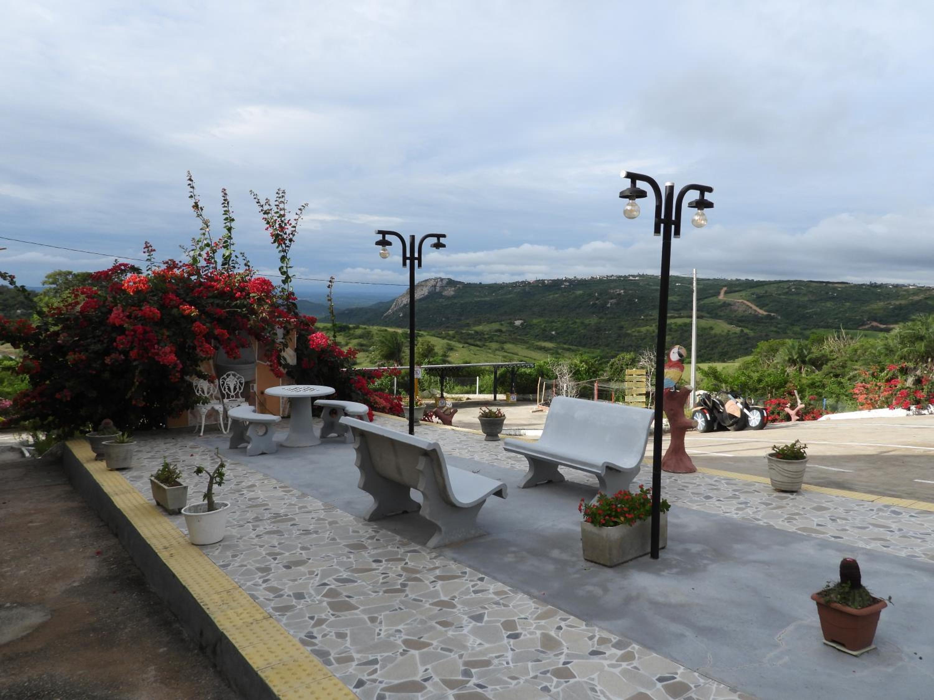 Encanto dos Pássaros
