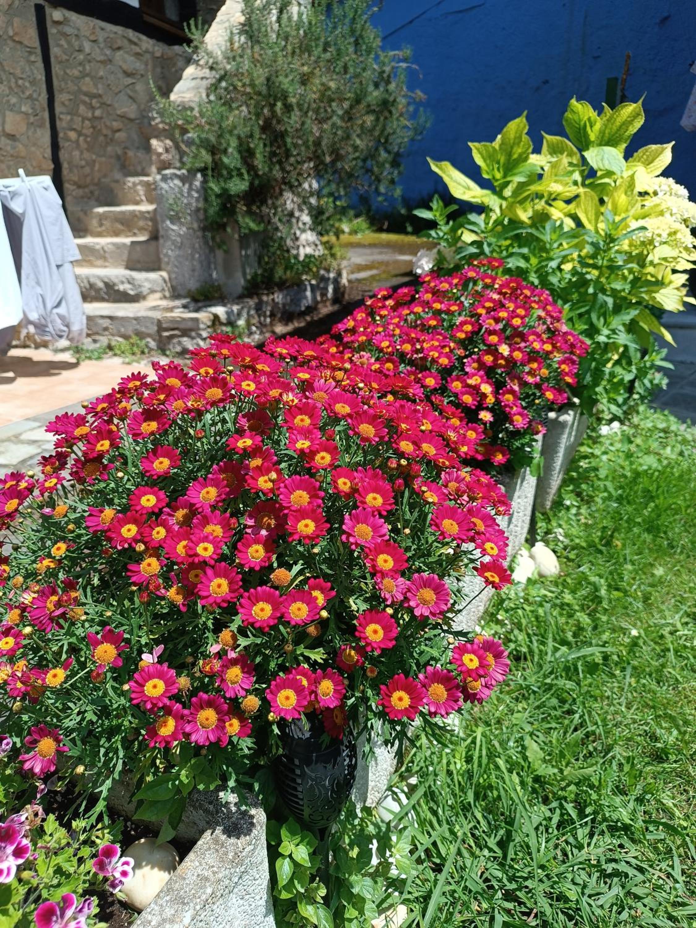 Apartamentos MinusKa con jardin y a tan solo 10 min andando a Llanes