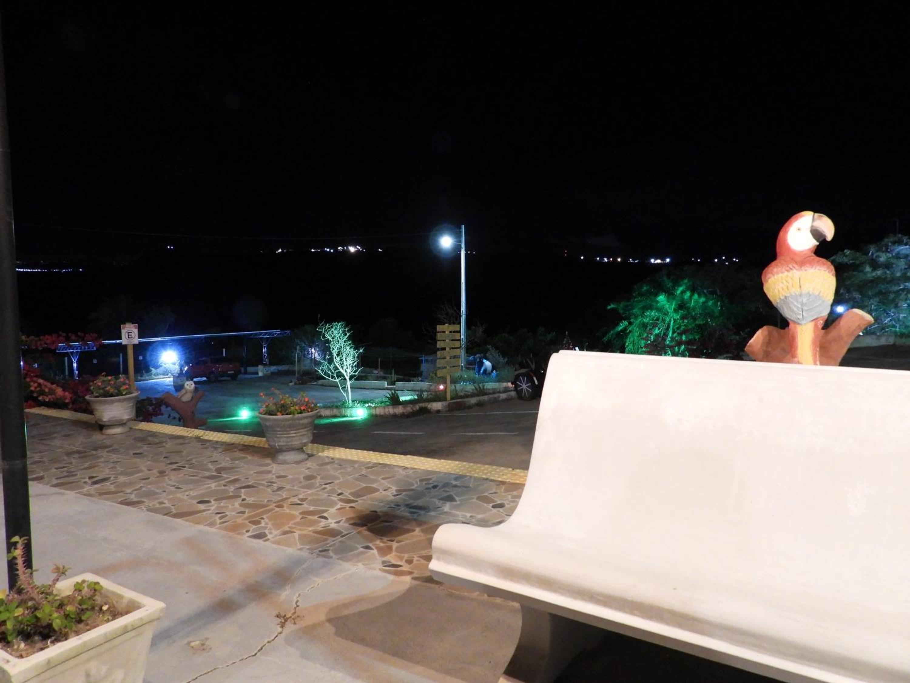 Encanto dos Pássaros