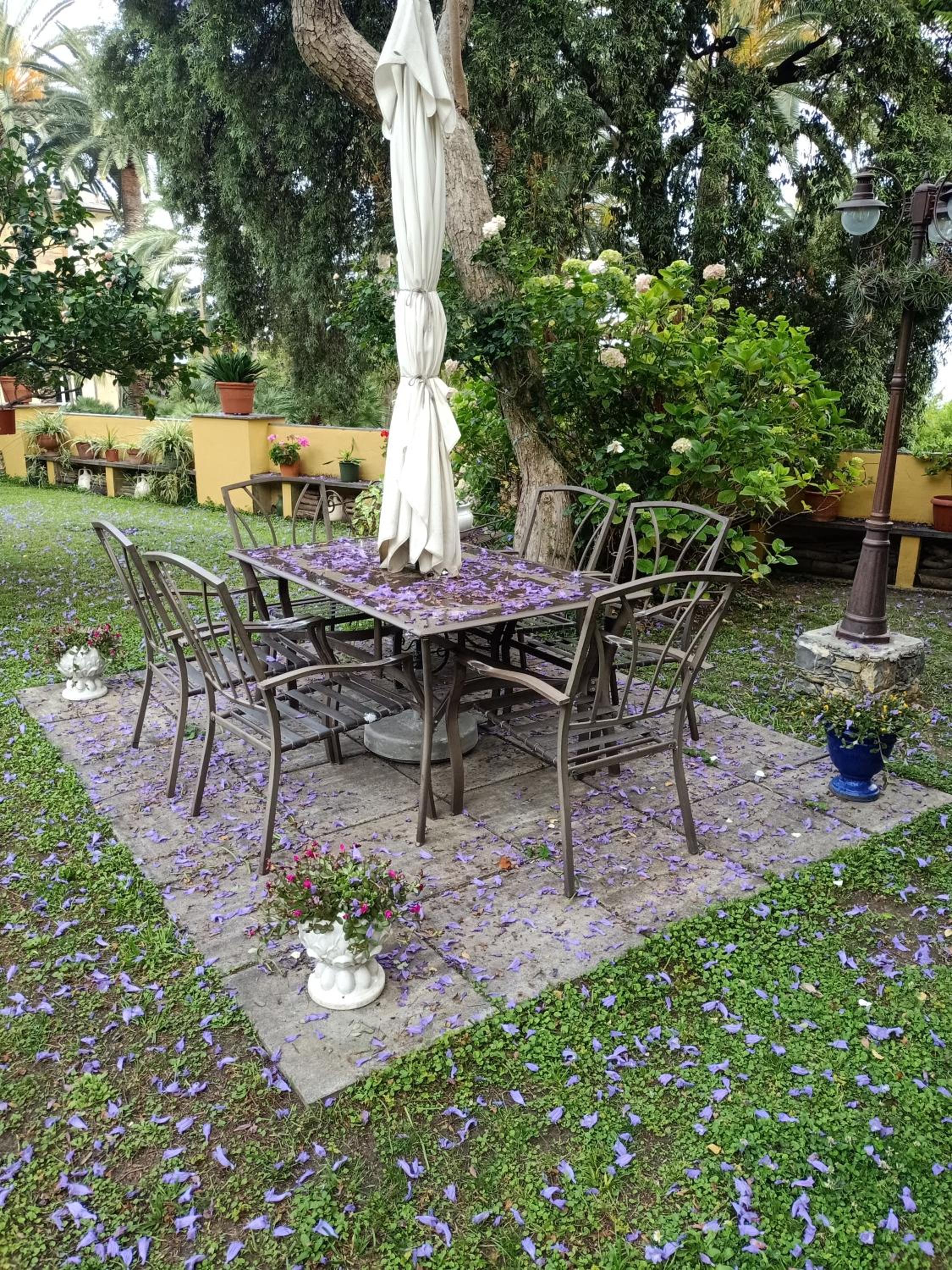 Casetta Jacaranda