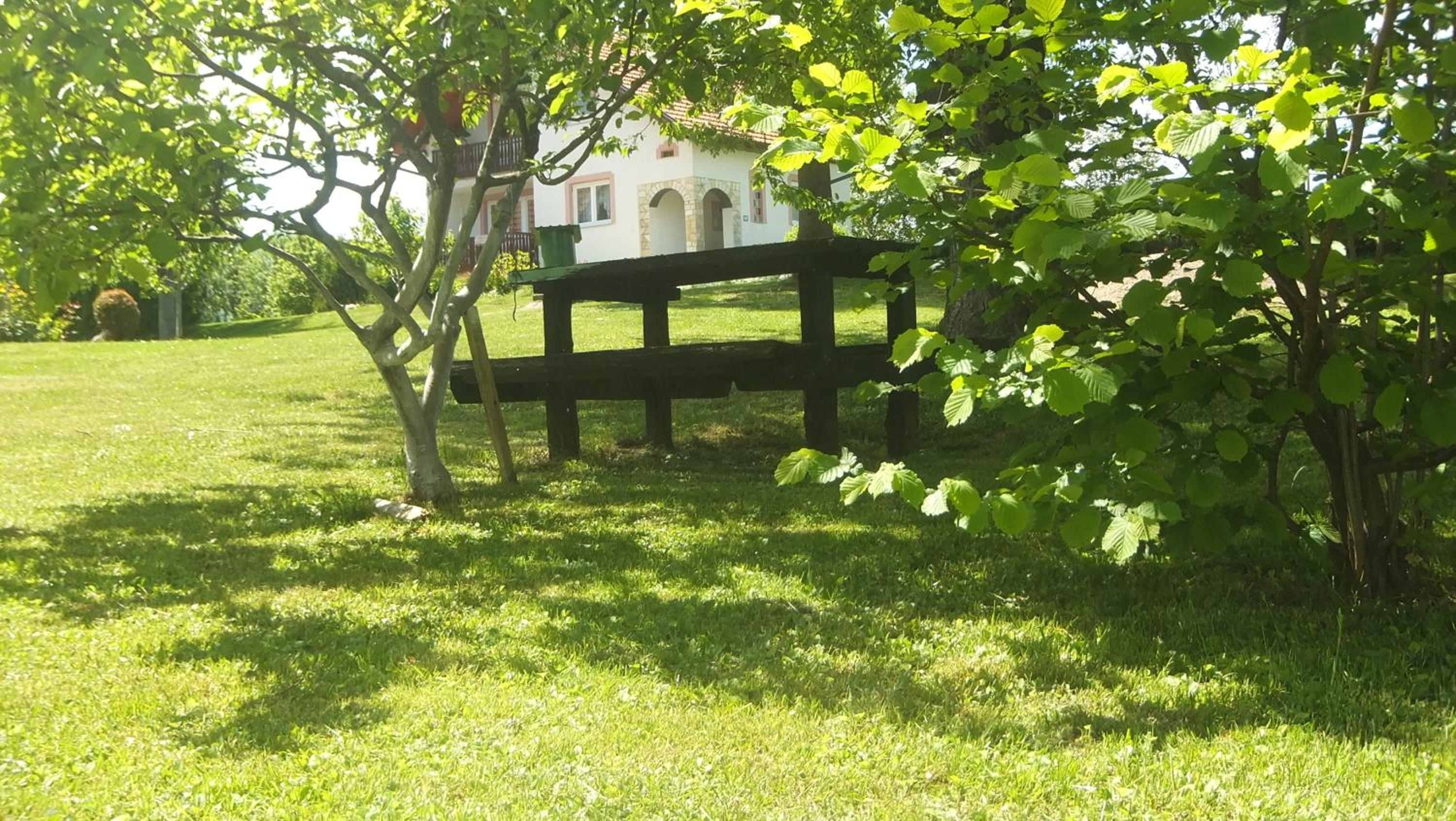 Photo 42