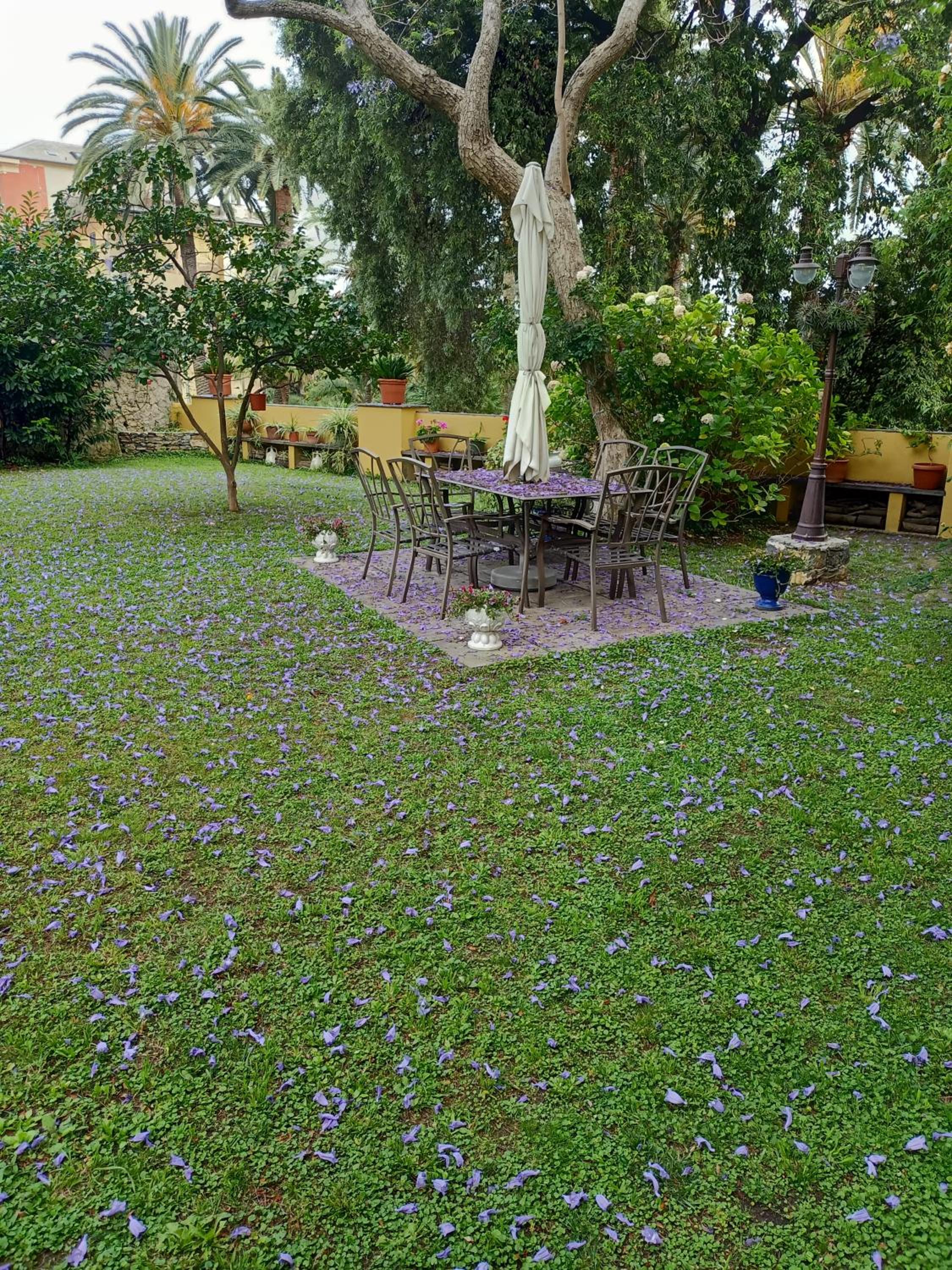 Casetta Jacaranda